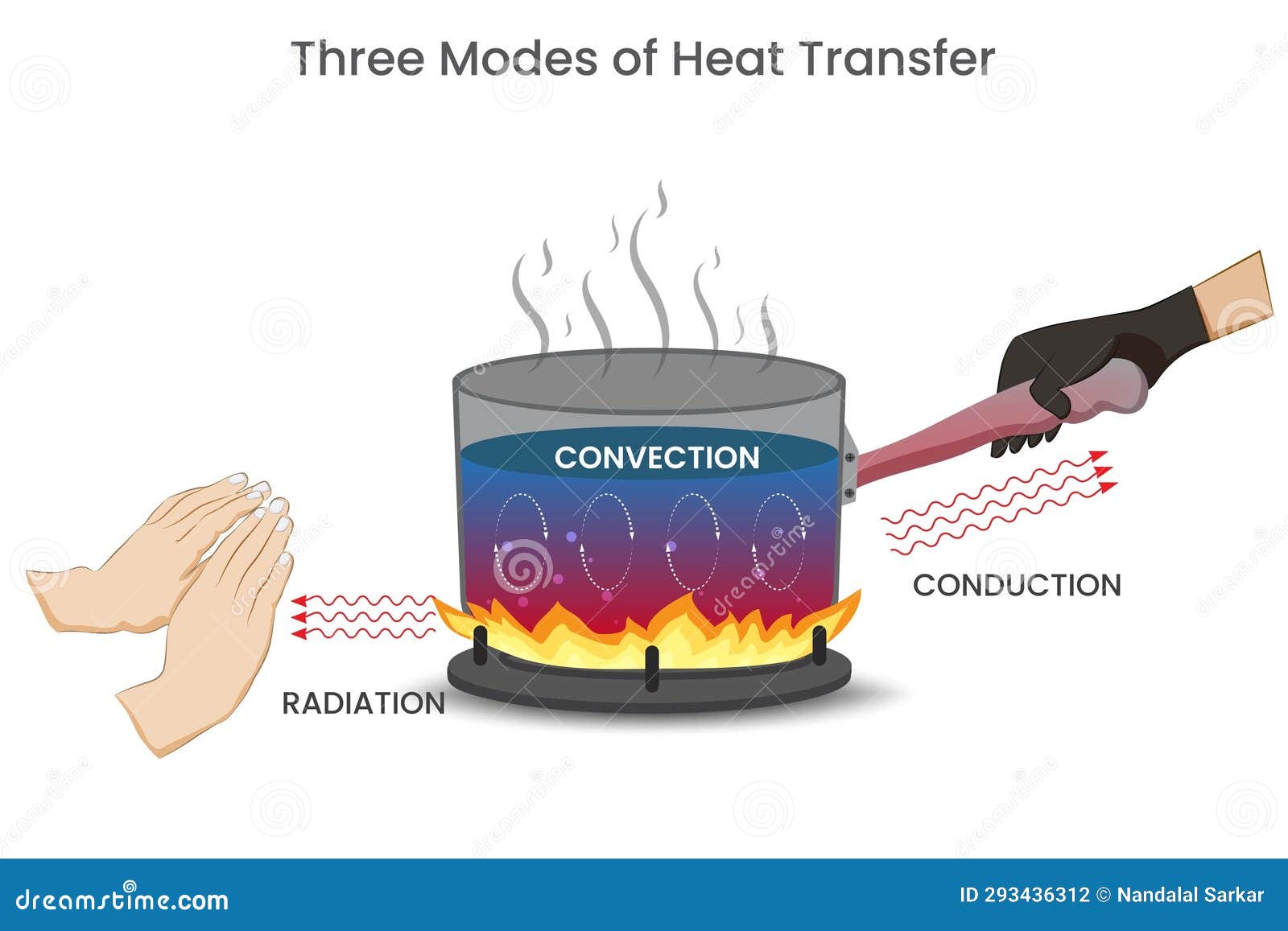 Heat transfer methods infographic diagram conduction convection radiation  for physics science education example pot cooker on gas fire vector drawing  cartoon illustration thermal energy concept Stock Vector