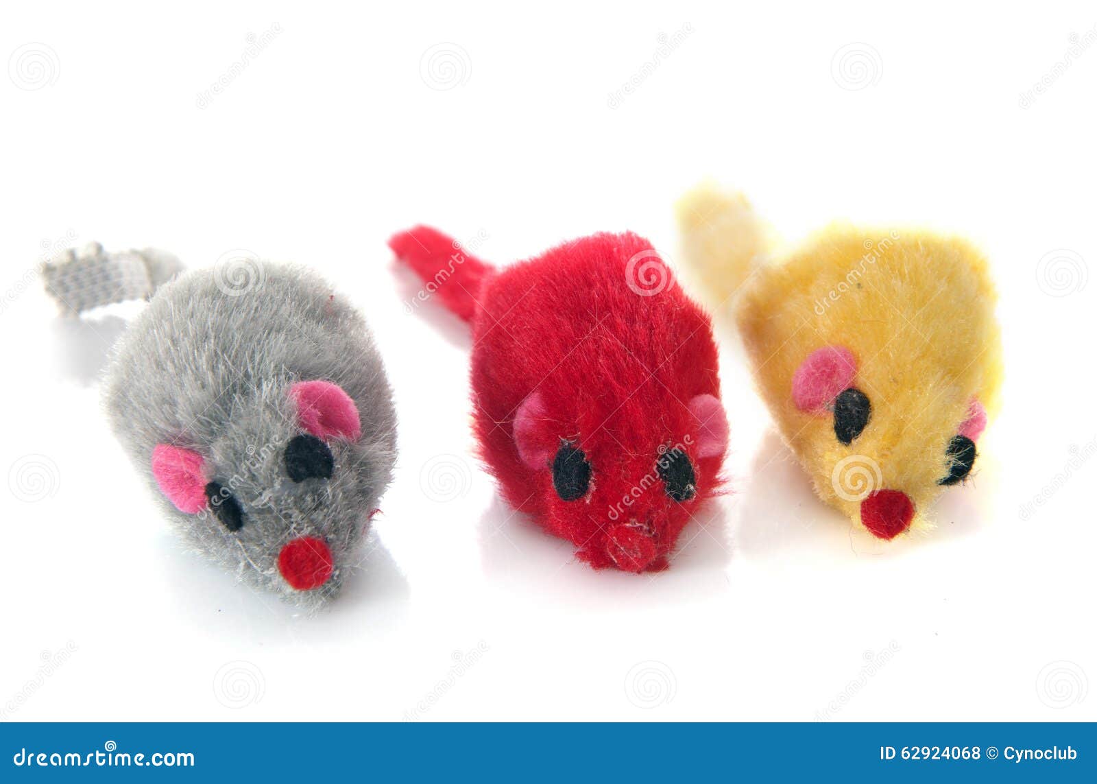 Three mouses for cat stock photo. Image of studio, playing 62924068