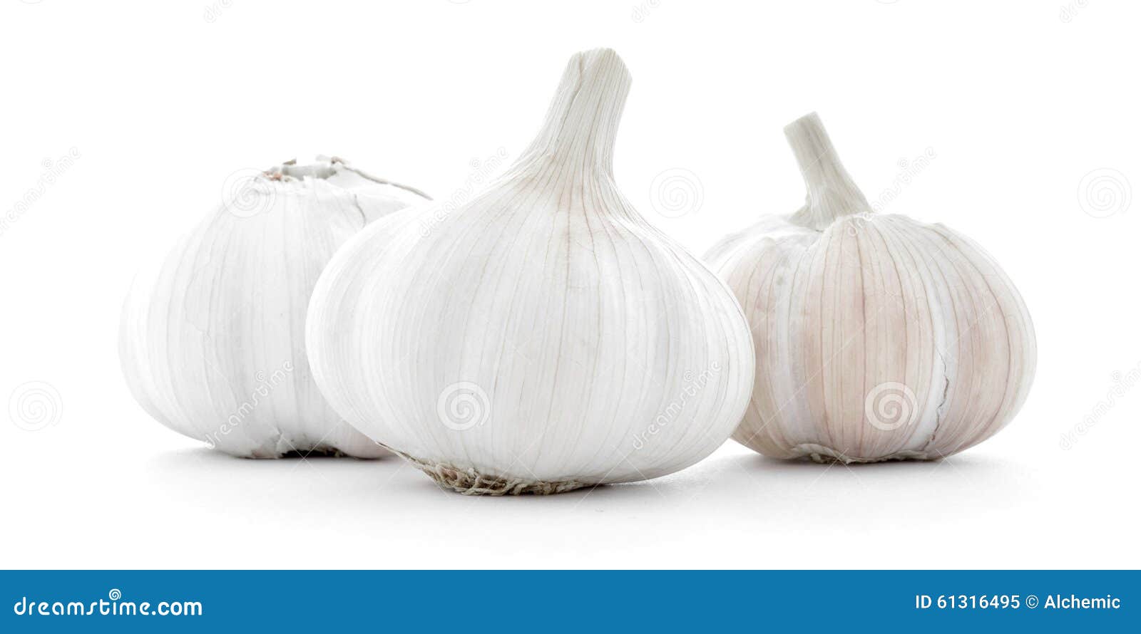 Three Natural Whole Garlic Bulbs Isolated on White Background Stock