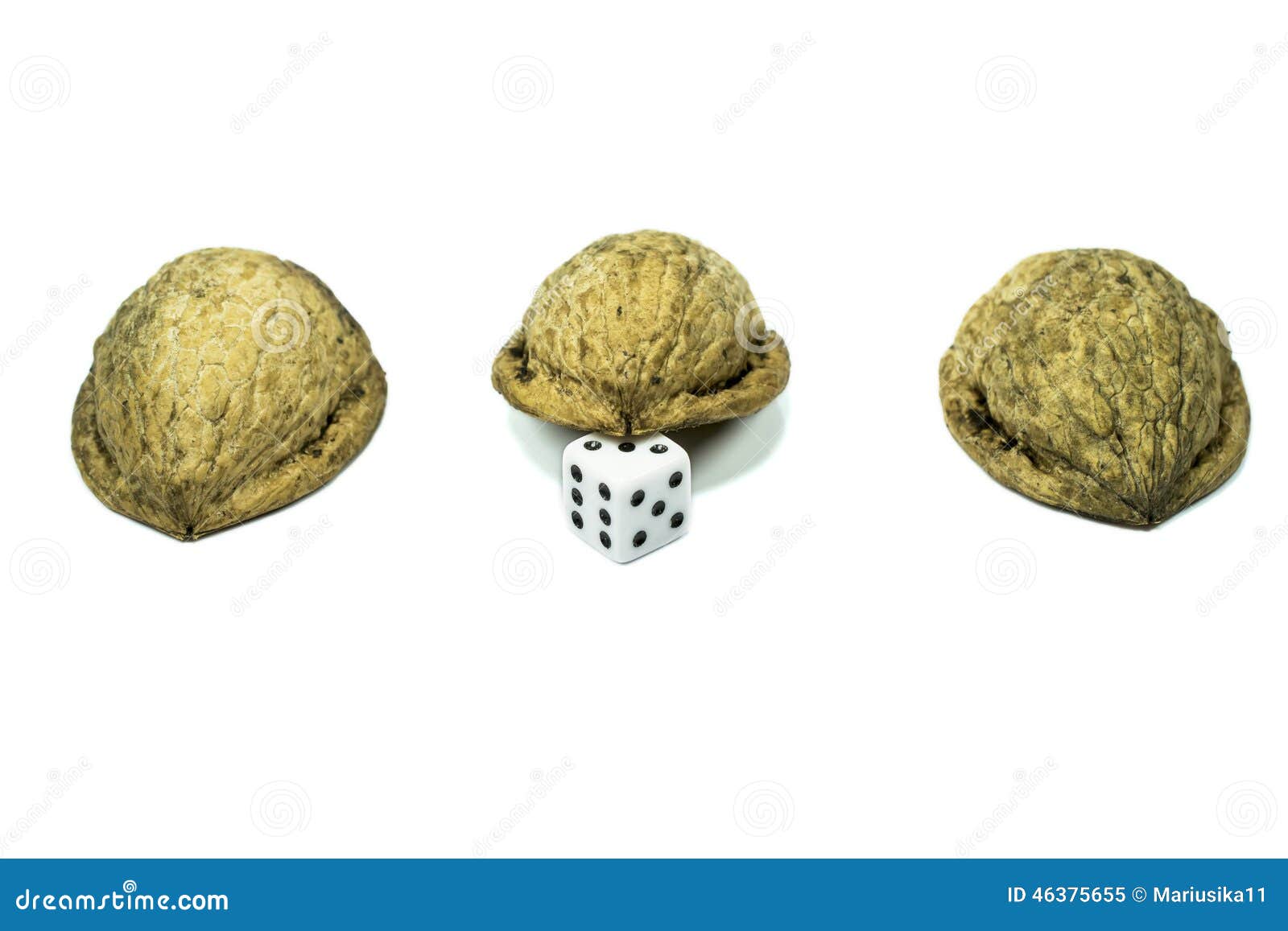 three nutshells with a dice