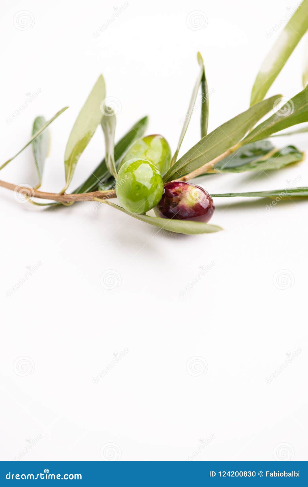 Three Olives and Olive Oils with Leaves Stock Photo Image of