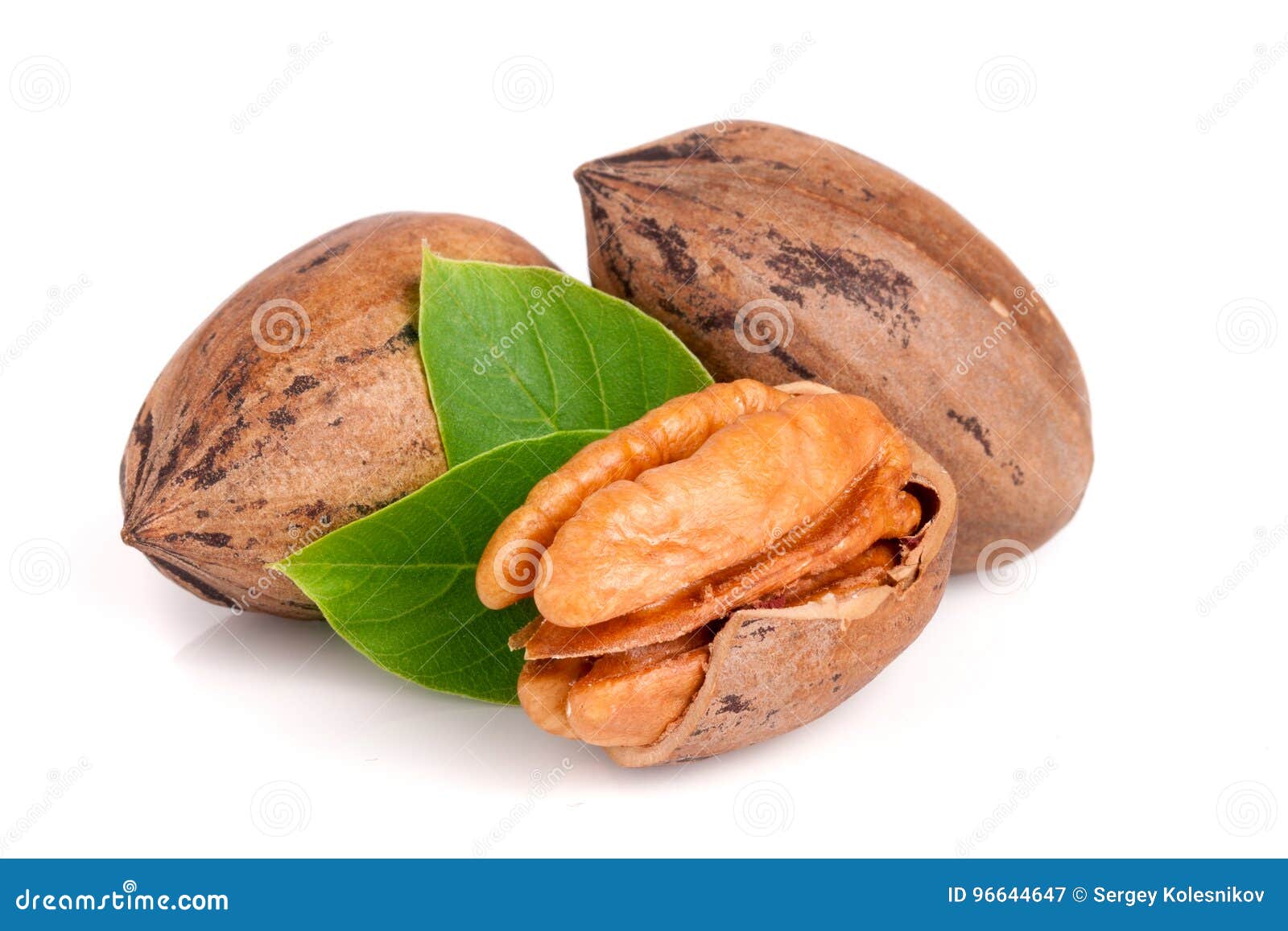 Three Pecan with Leaves Isolated on White Background Stock Image