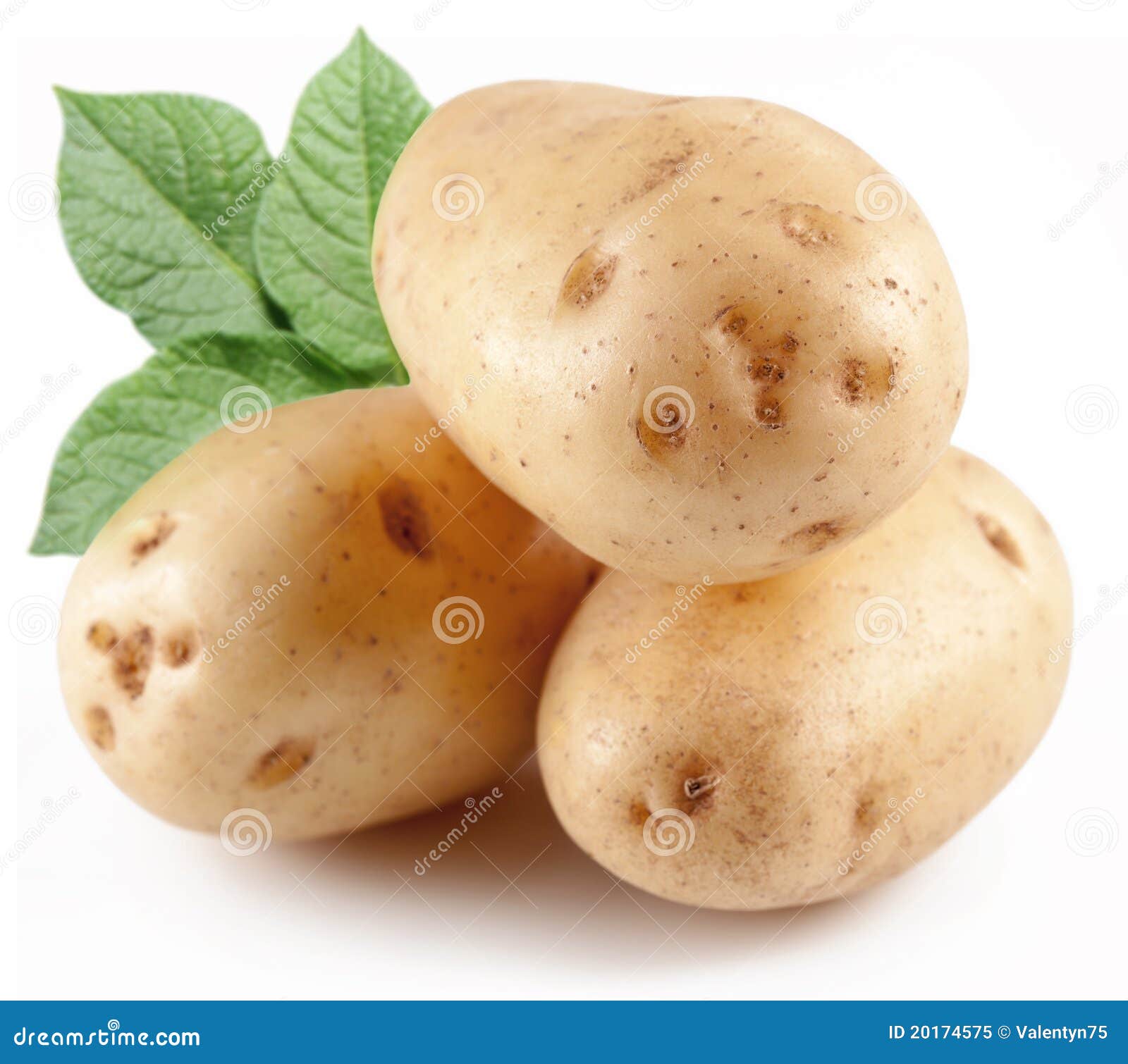 Three Potatoes with Leaves. Stock Image Image of food, green 20174575