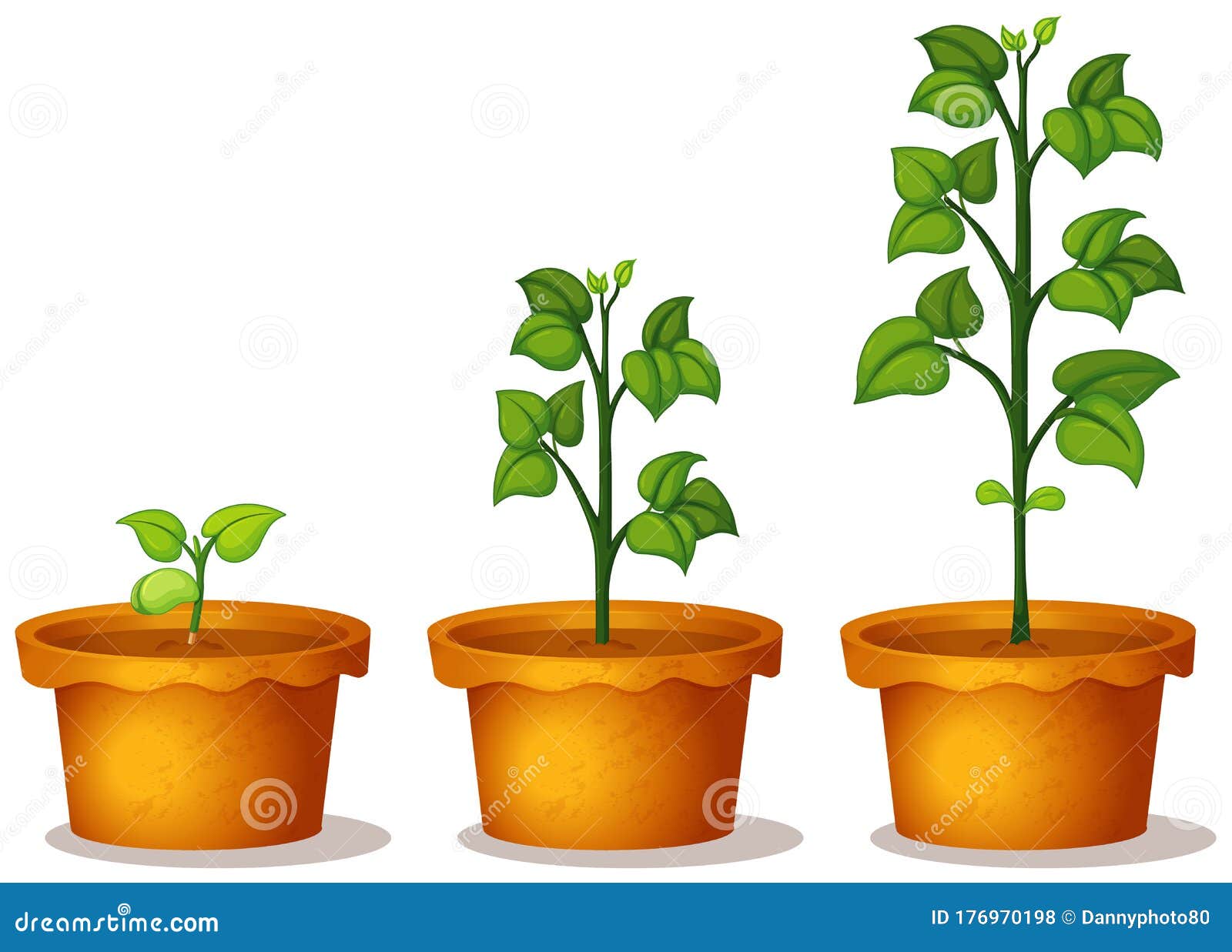 Three Potted Plants with Green Leaves Stock Illustration - Illustration ...