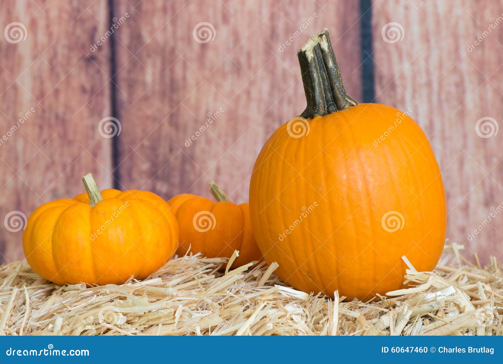Three Pumpkins stock photo. Image of holiday, straw, halloween - 60647460