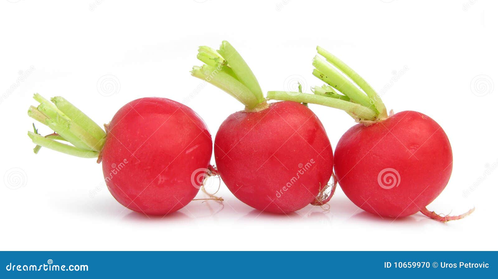 Three radishes stock photo. Image of radish, bouquet 10659970