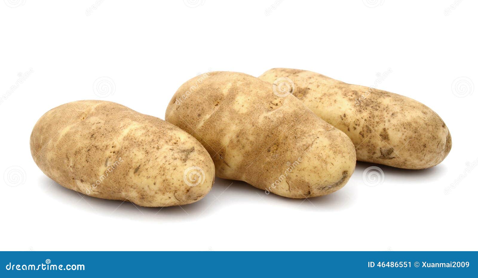Three Raw Russet Potatoes stock image. Image of potato 46486551