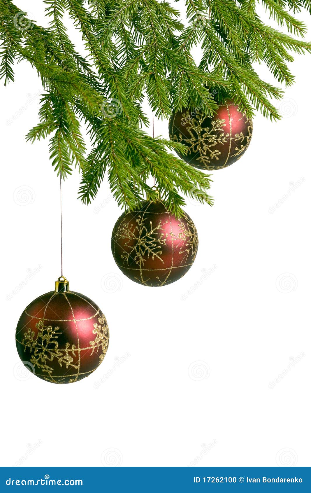 Three Red Christmas Balls, Hanging on Fir Tree Stock Photo Image of