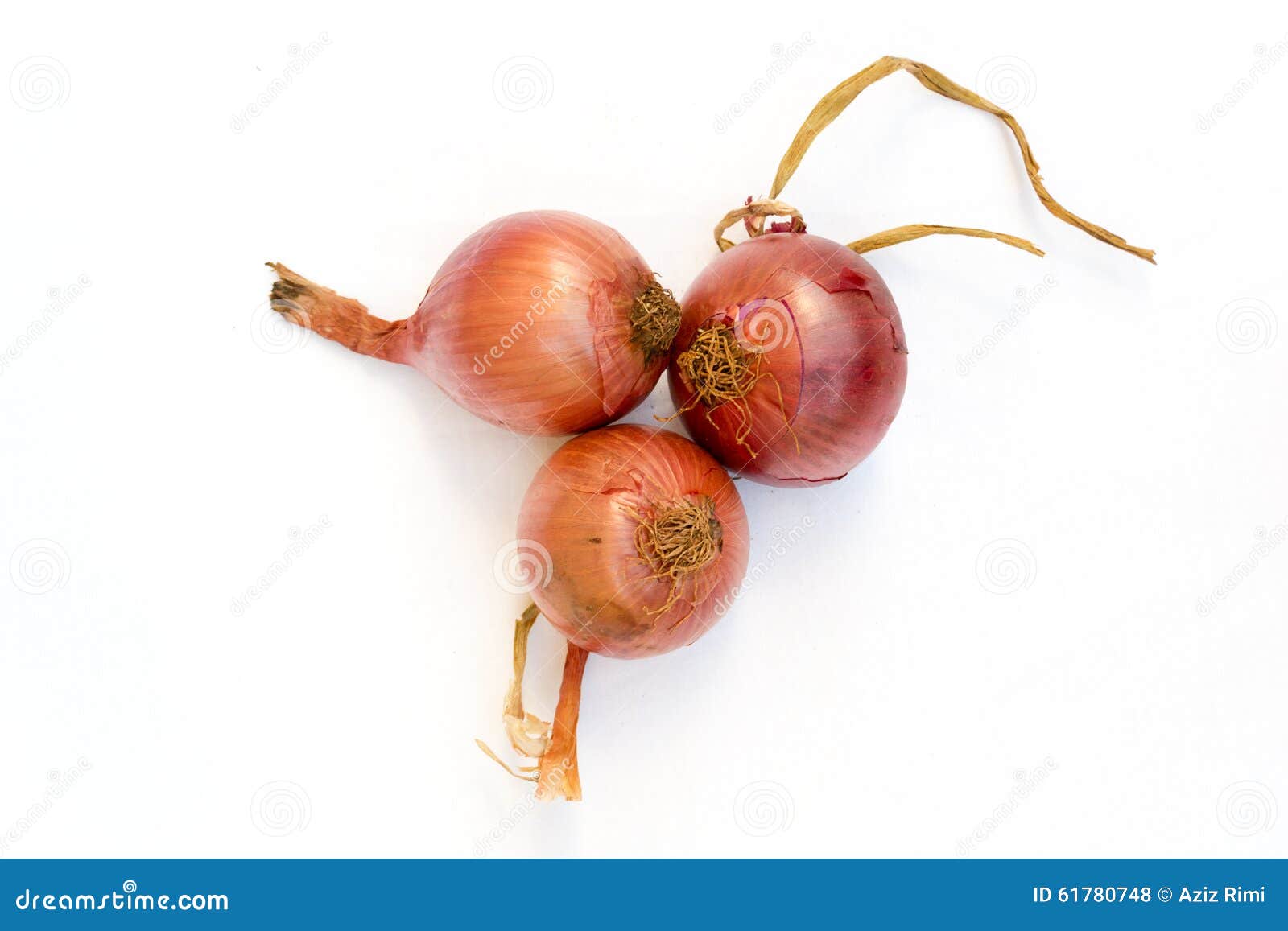 Three red onions stock photo. Image of vegetables, natural 61780748