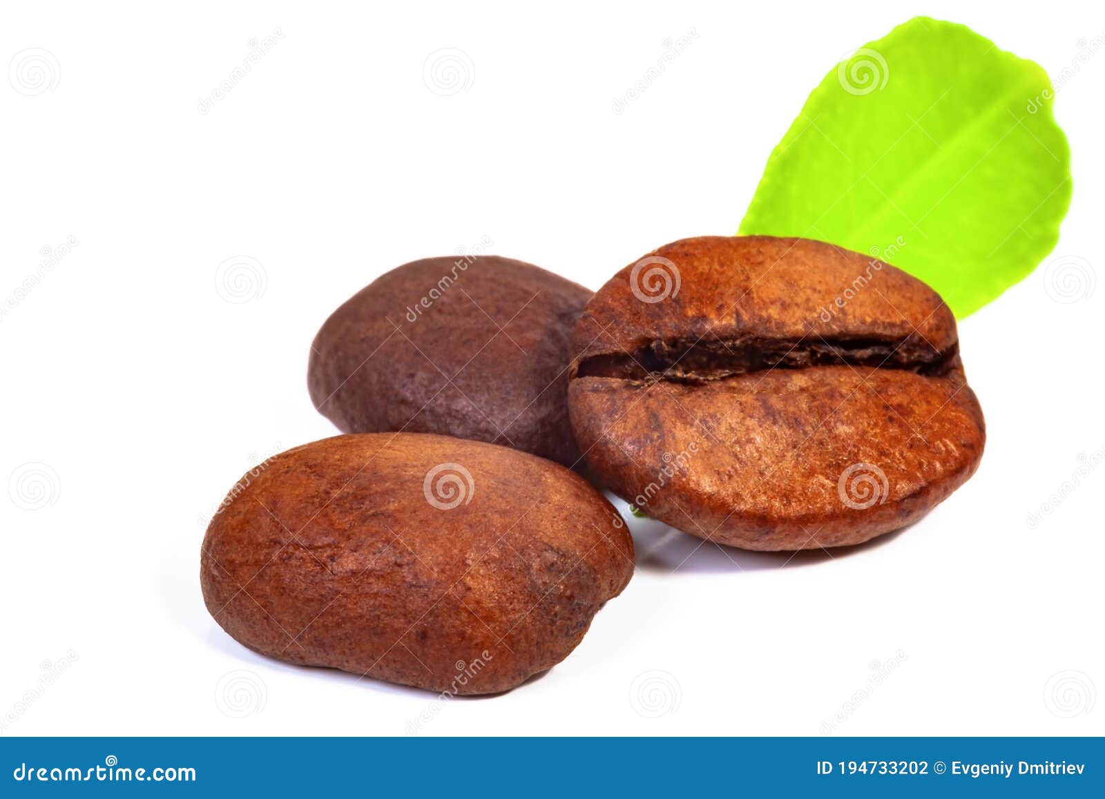 Three Roasted Coffee Beans and Green Leaf Stock Photo Image of