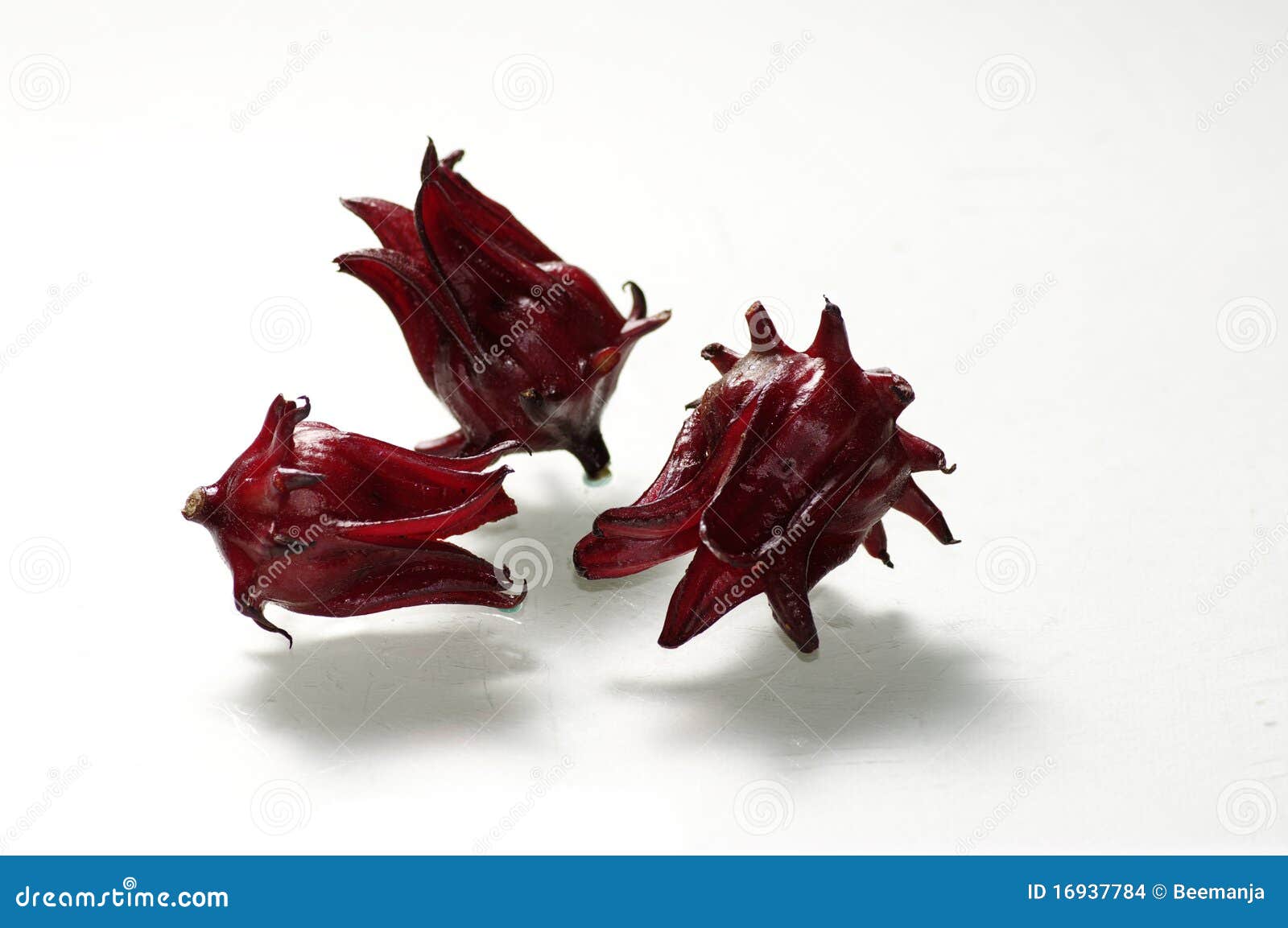 Three roselles on white background