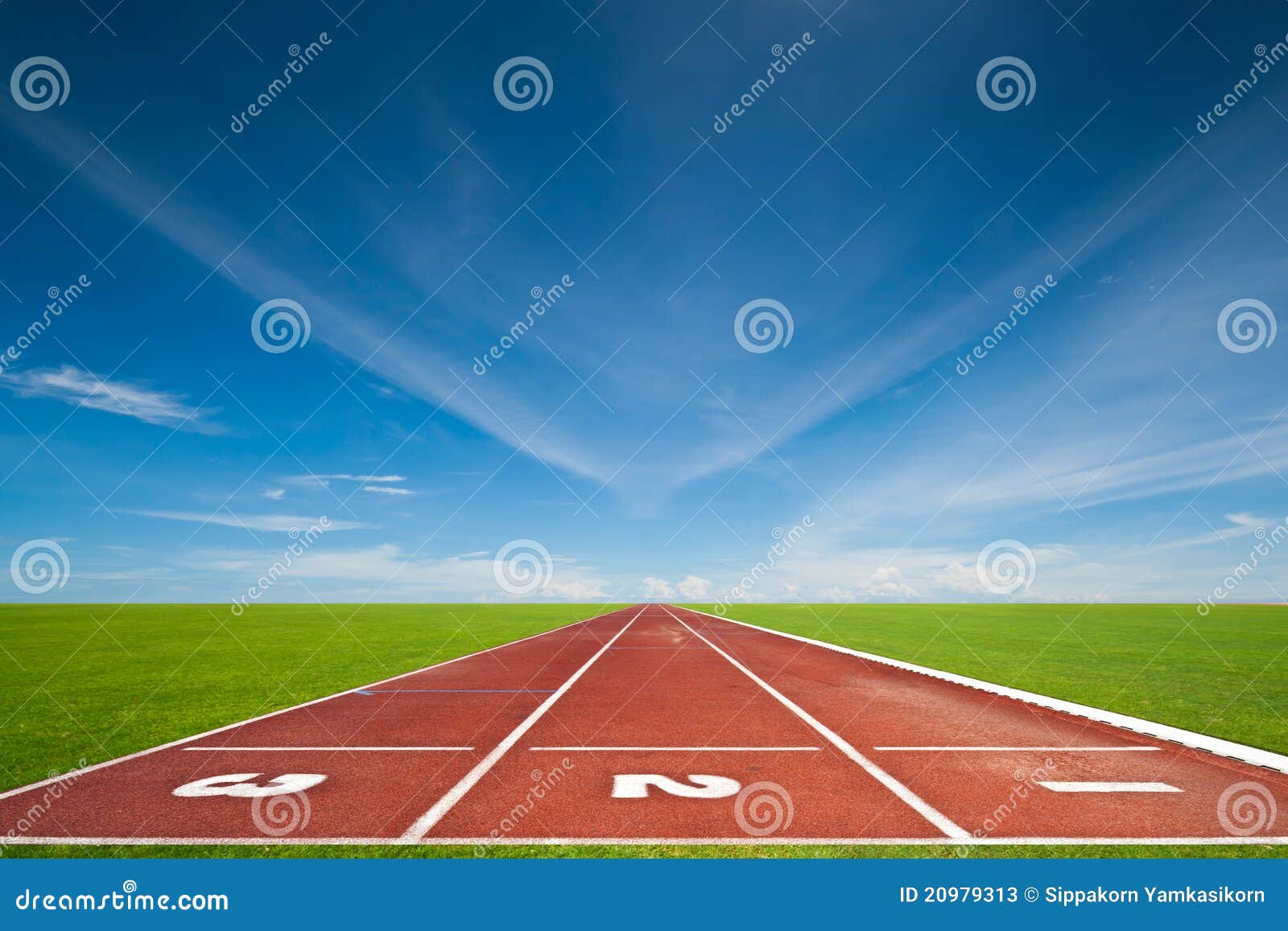 The three running tracks stock image. Image of path, green 20979313