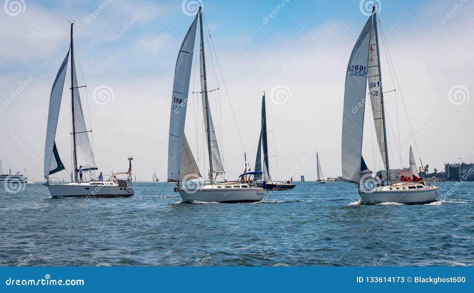 sailboats regatta