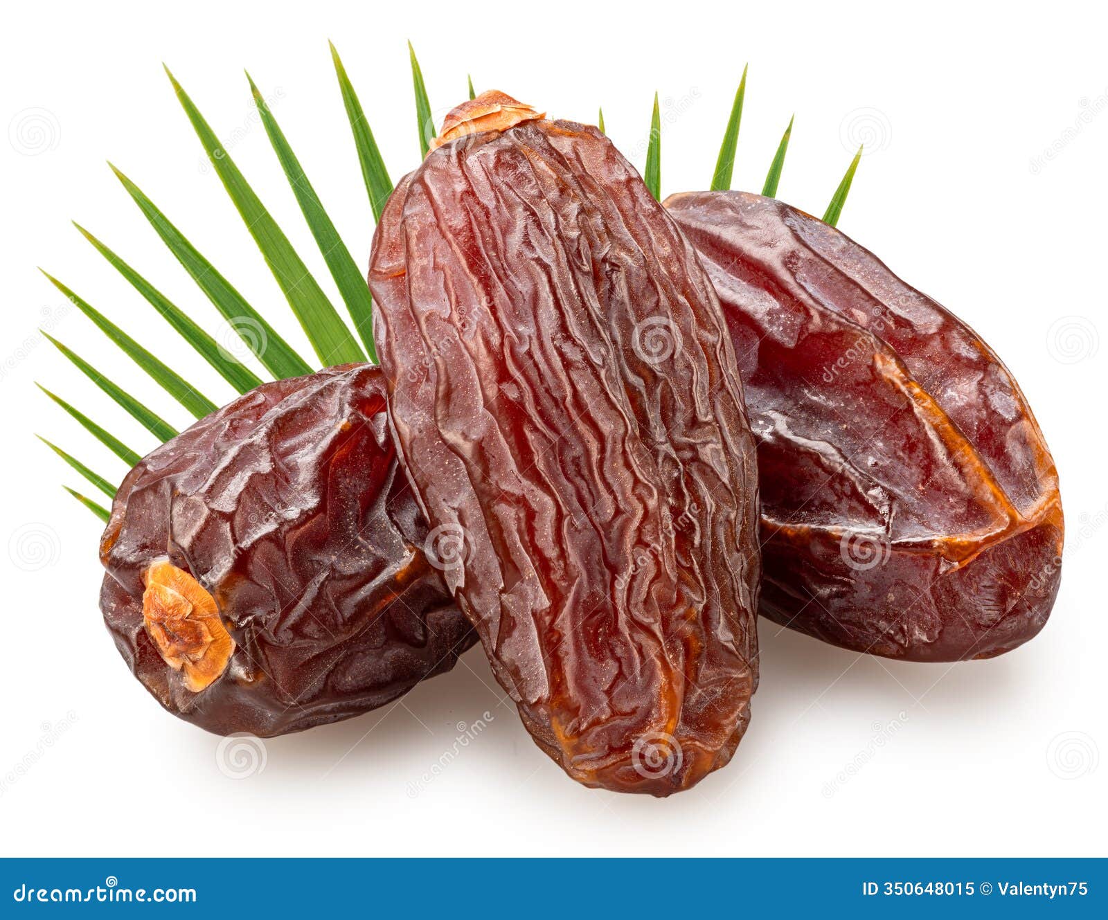 three semi-dried dates or date palm fruits and palm leaves behind,  on white background. file contains clipping path