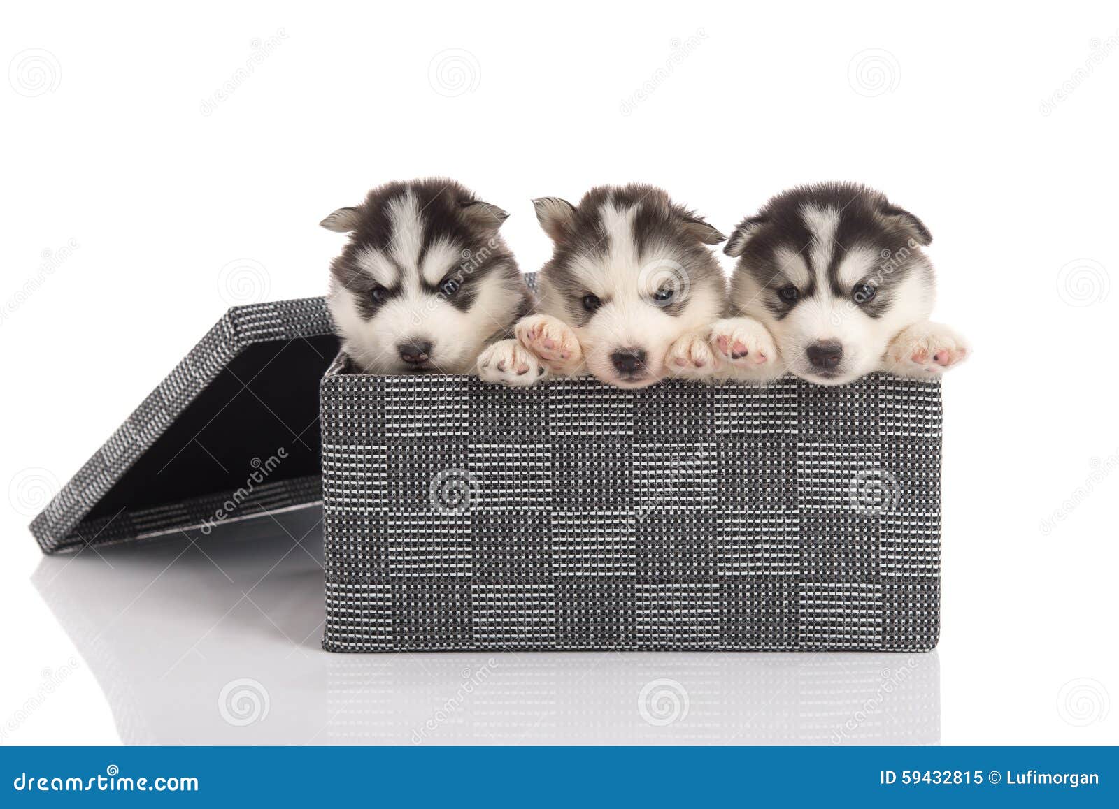 husky tote box