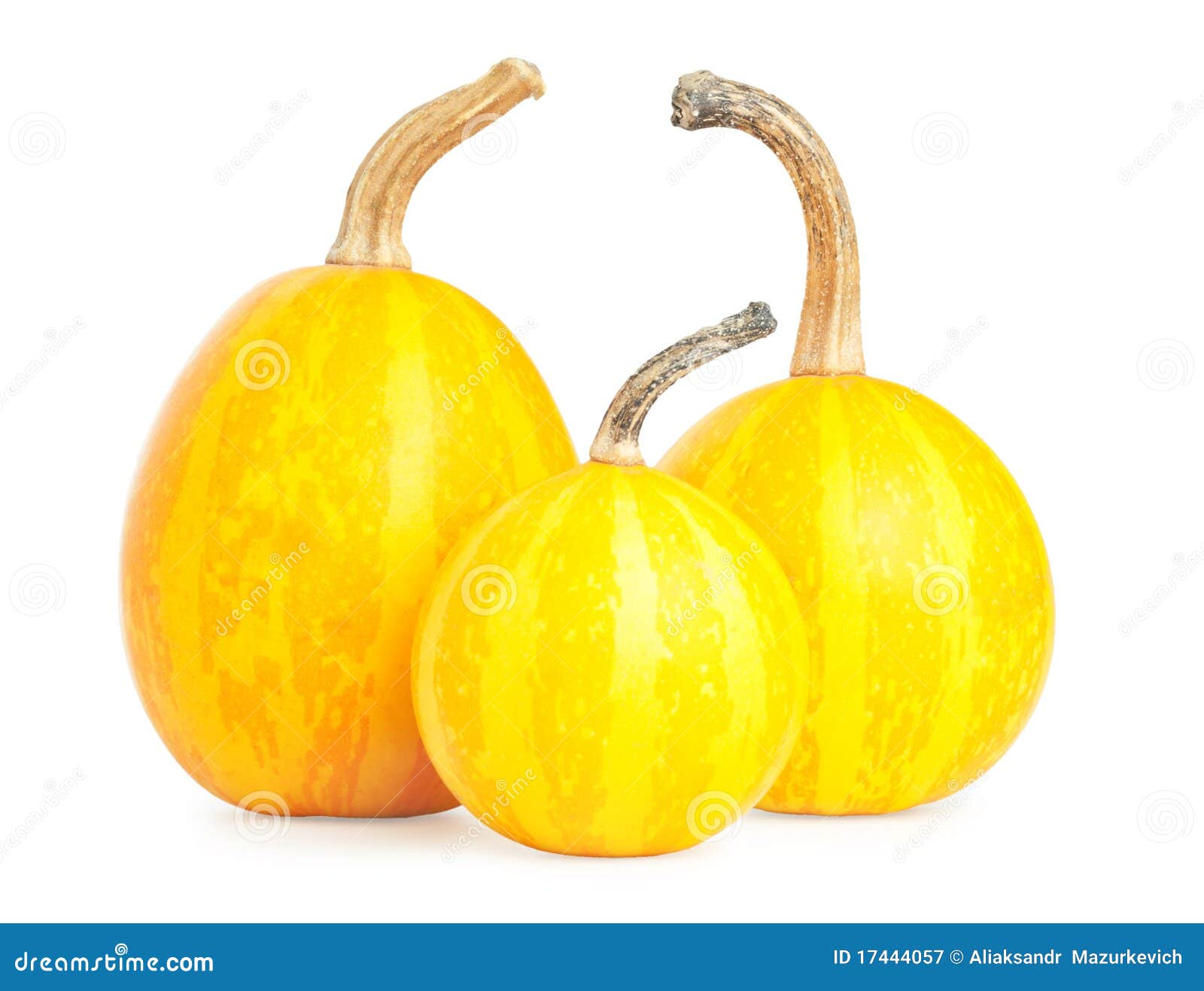 Three Small Decorative Pumpkin Stock Image Image of decorative, decor