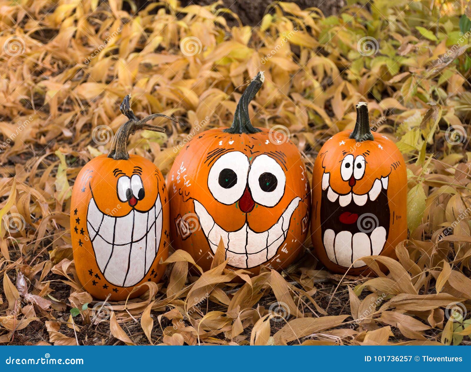 Three Pumpkins In Dried Leaves Stock Image Image Of Natural Halloween