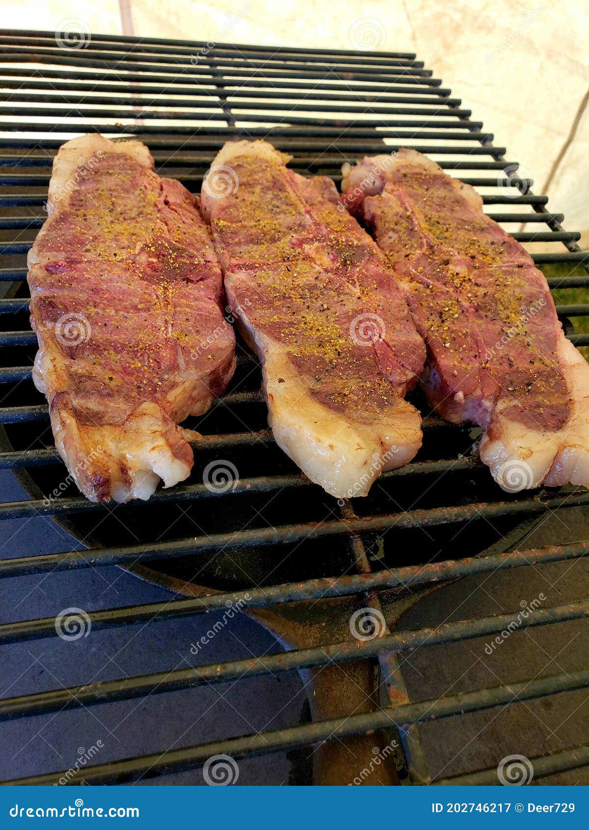 Three Steaks on a Camping Grill Stock Image Image of grill, food