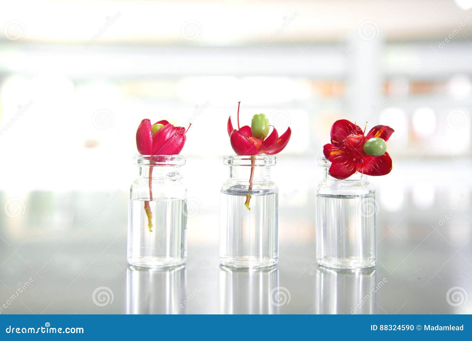 Three Summer Red Flower and Vial in Science Laboratory Stock Photo