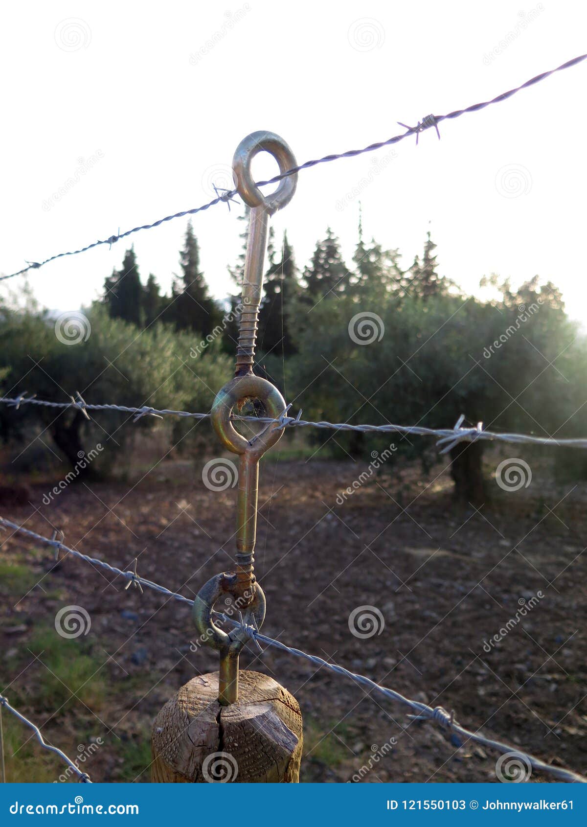 Three Tier Eyebolt Barbed Wire Support Stock Image - Image of