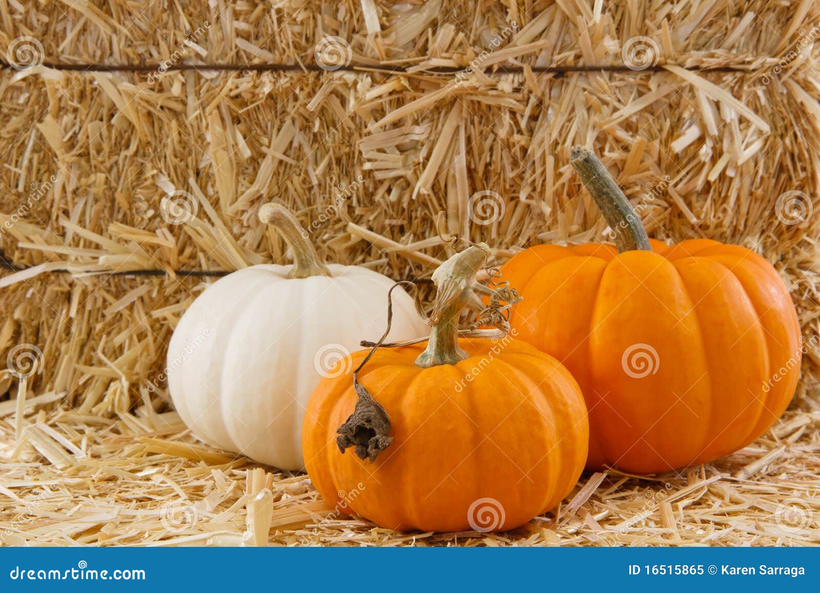 Three Tiny Pumpkins Against a Straw Background Stock Image - Image of