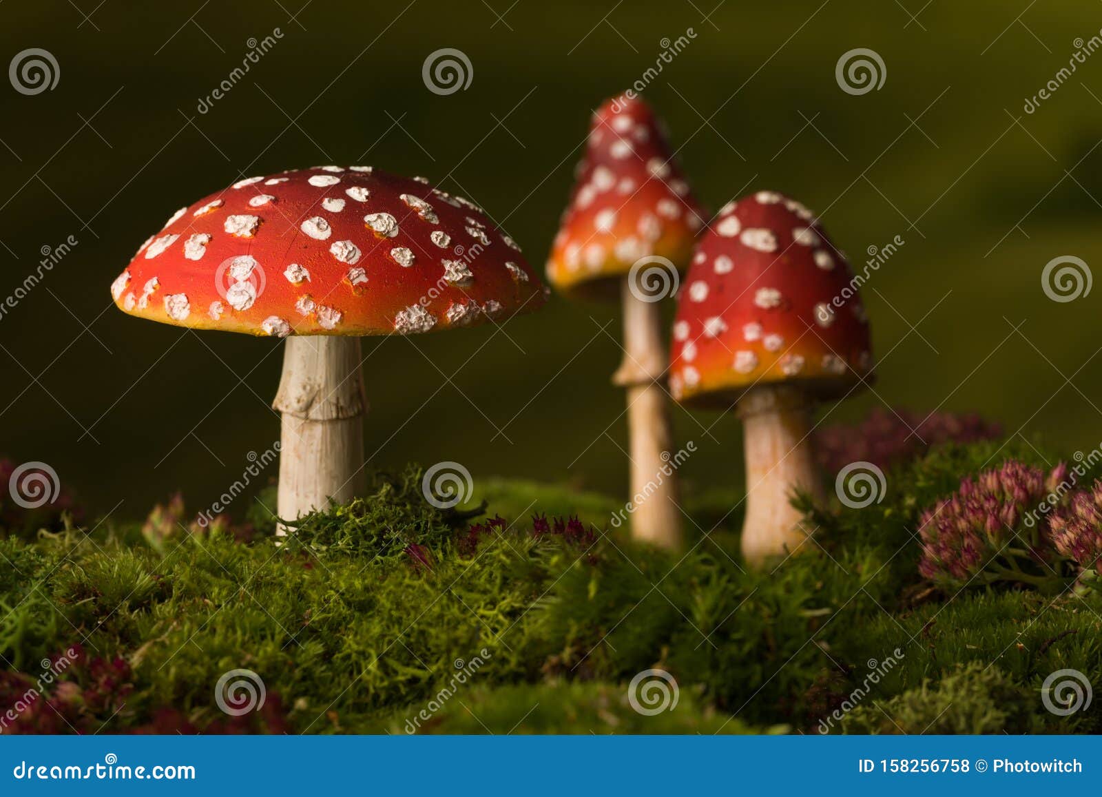 three toadstools fairy background