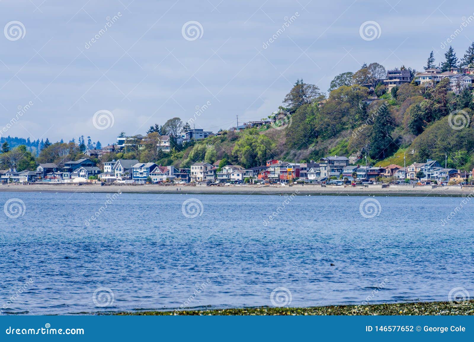 Three Tree Point Shoreline Homes 3 Stock Photo Image of landscape