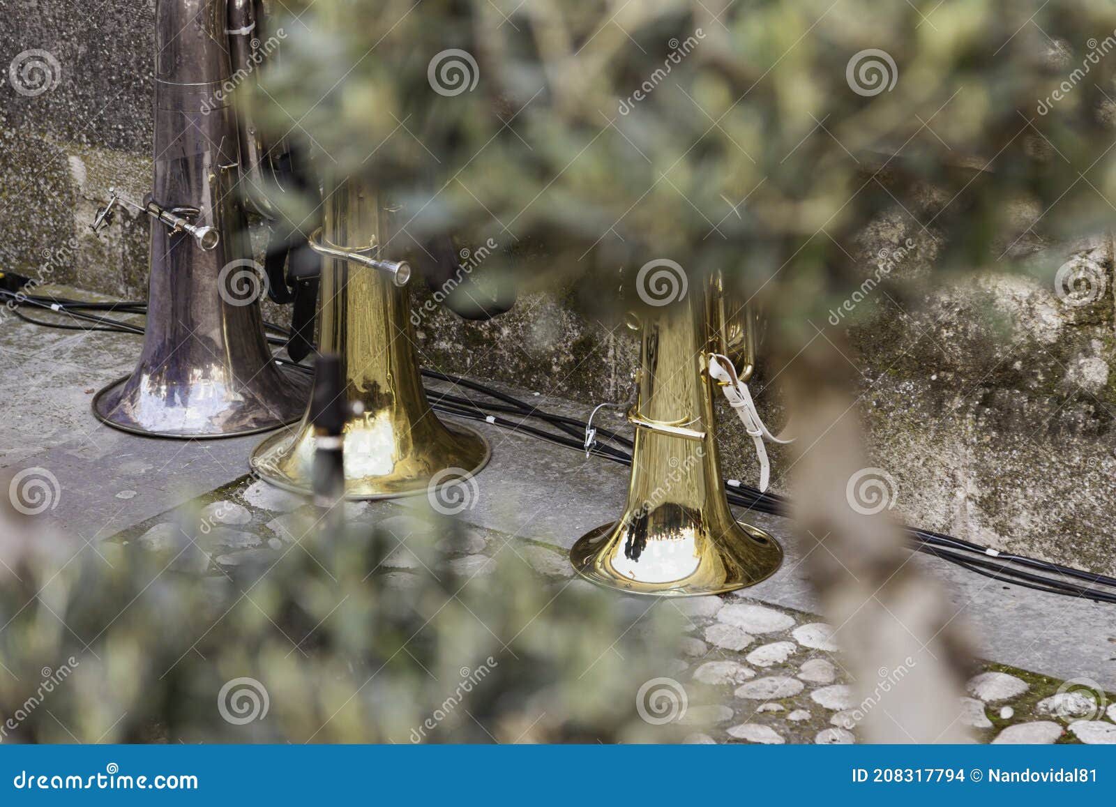 Three Trombones Placed Behind a Tree Stock Photo Image of trombone