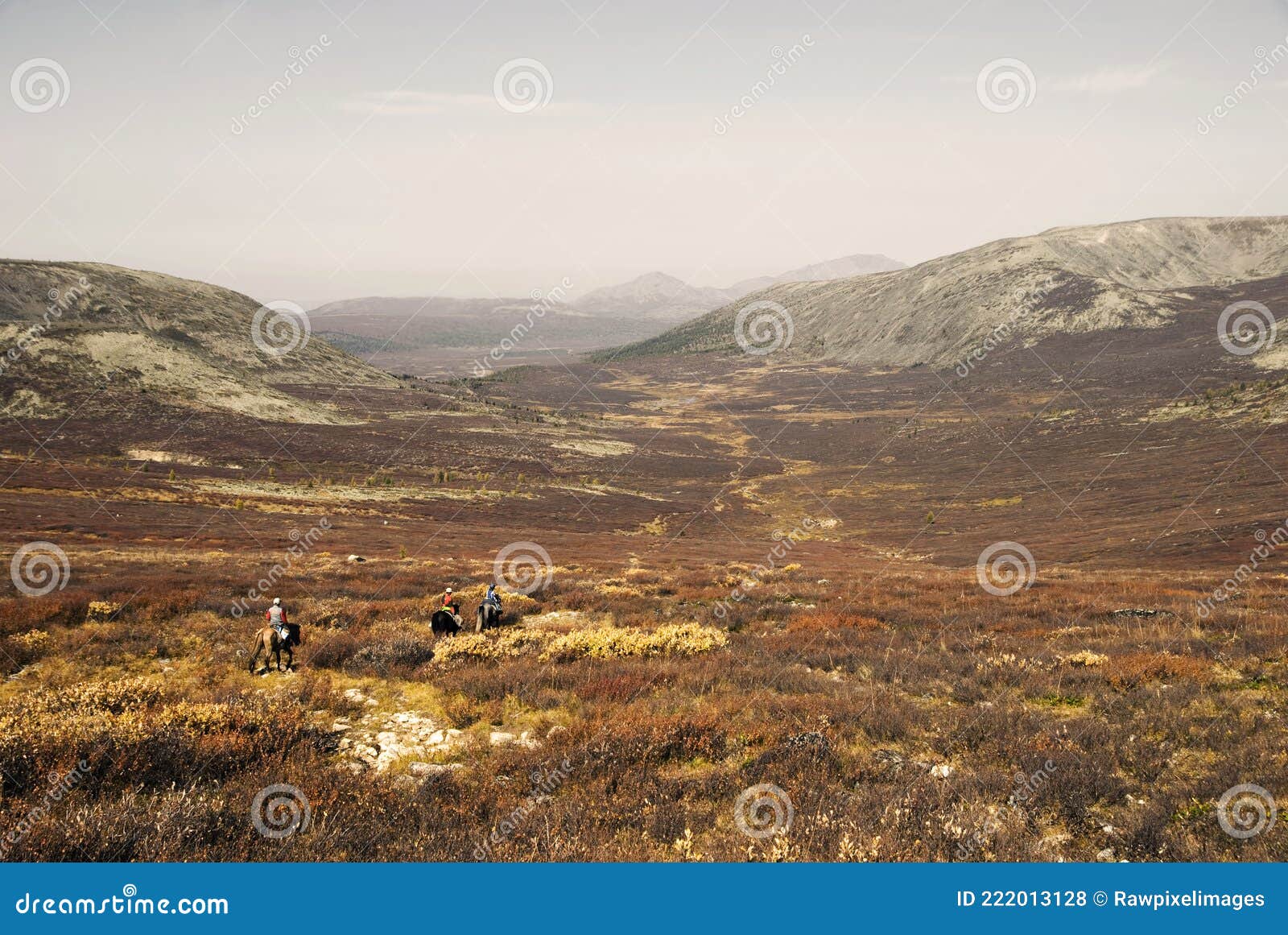 three tsaatan boys return to their nomadic home in mongolia