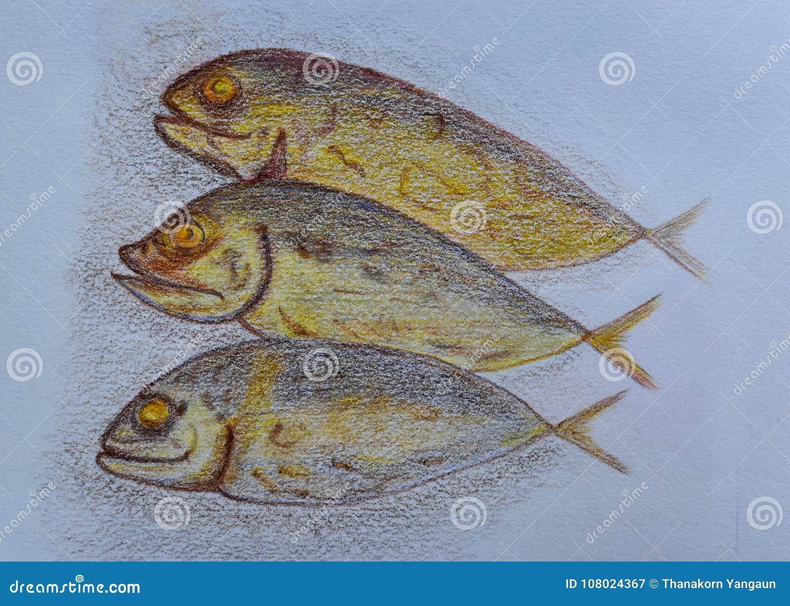 Three of Tuna Fish,drawing on White Paper Background. Stock