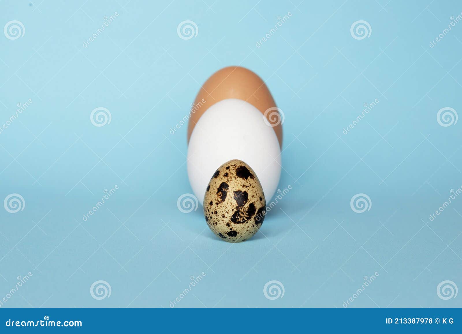 Three Type of Different Birds Eggs Isolated on Blue Paper Background.  Various Size and Kind Choice Concept Stock Photo - Image of biggest,  nutrition: 213387978