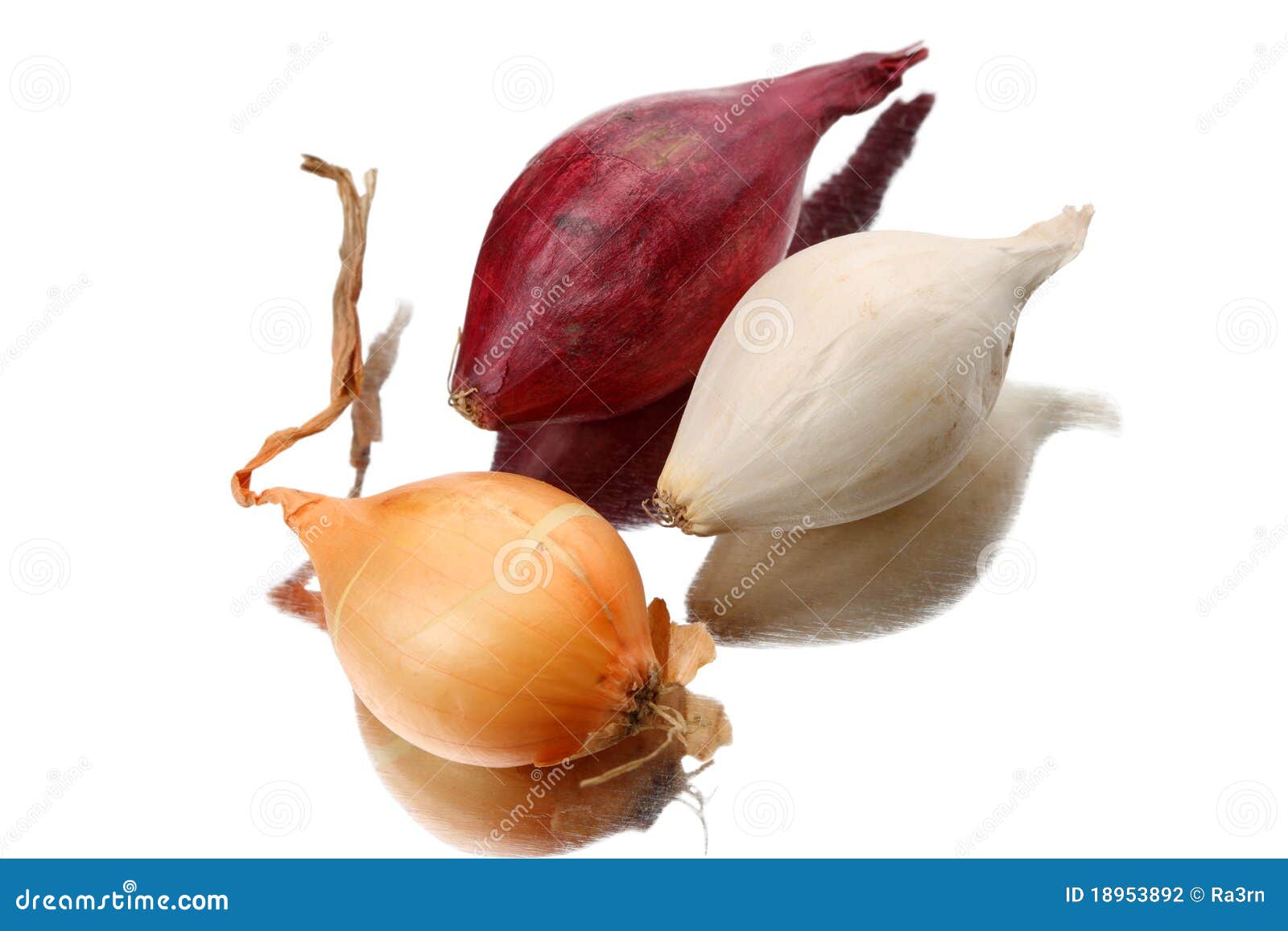 Three Varieties of Onion Seeds Stock Photo Image of food, color 18953892