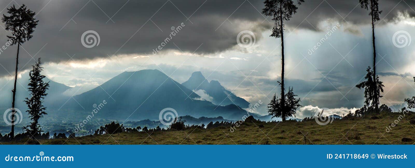 volcanoes national park in rwanda and drc