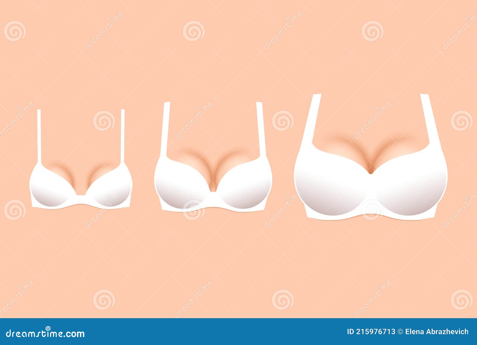 Three White Brassieres with Cups of Different Sizes Stock Vector -  Illustration of large, measure: 215976713