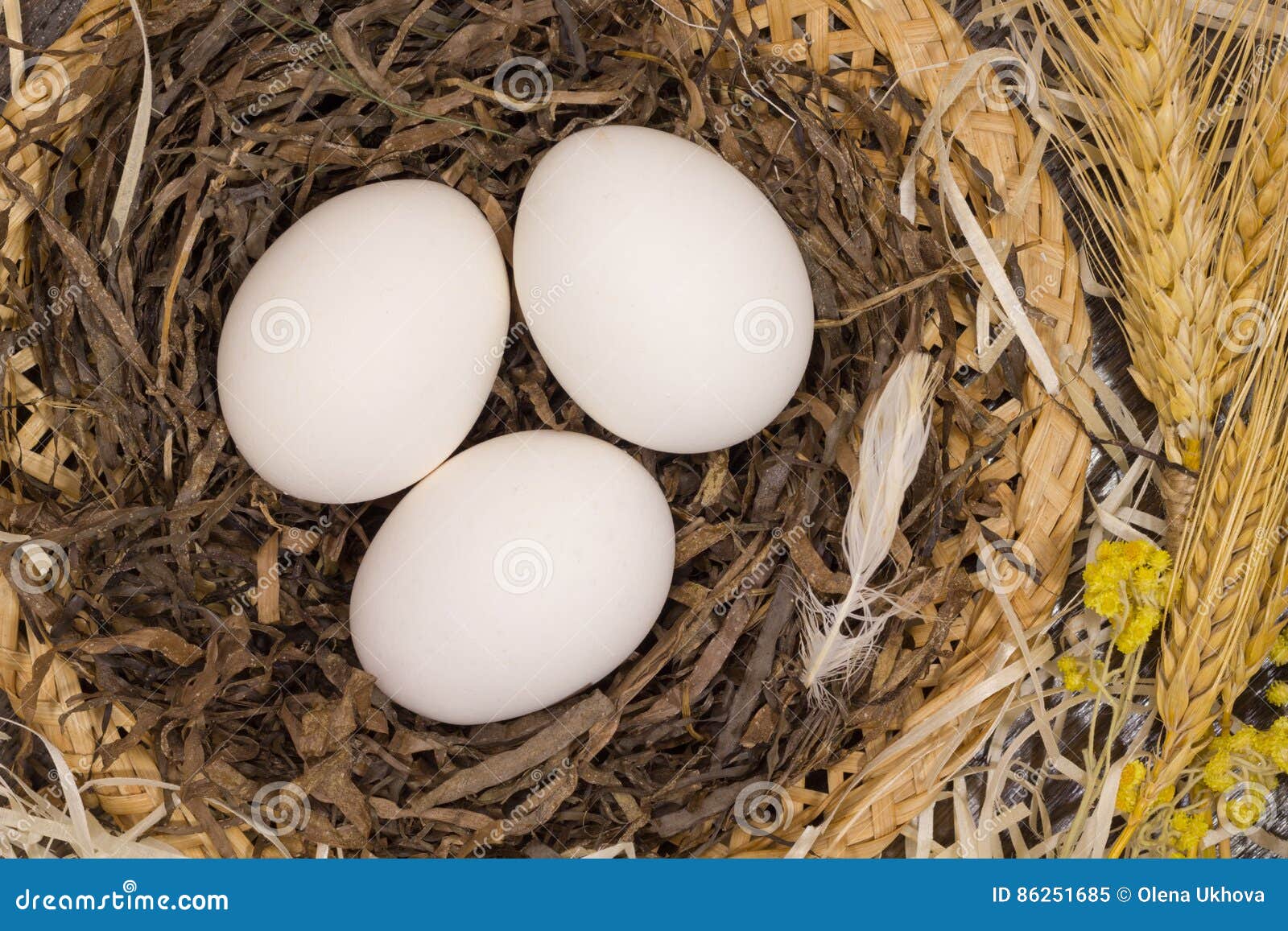 Three white eggs in nest stock image. Image of straw 86251685