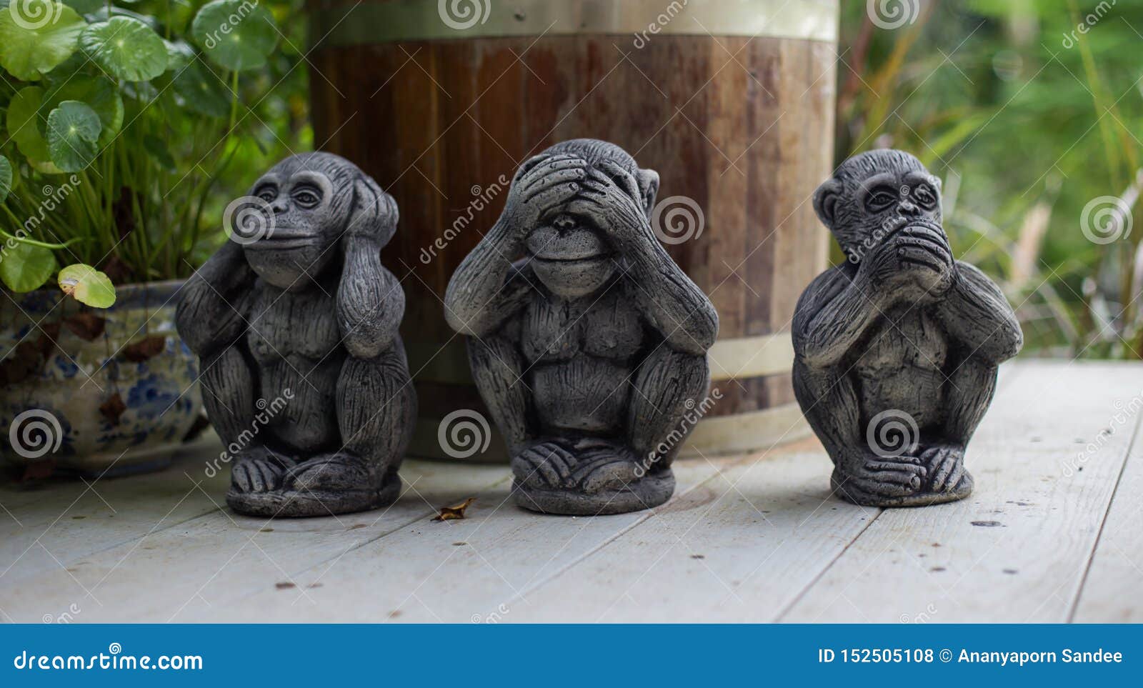 the three wise monkey, three mystic apessee no evil, hear no evil, speak no evil
