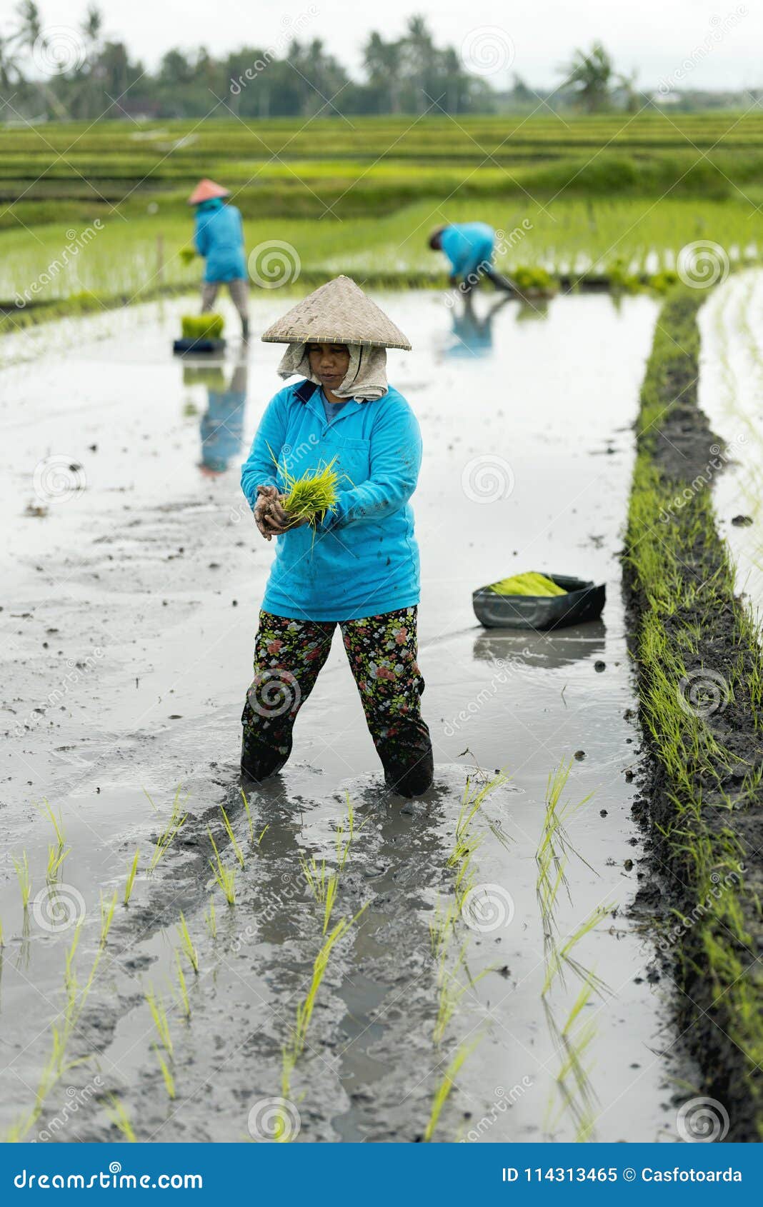 Farmersonly women Farmersonly women