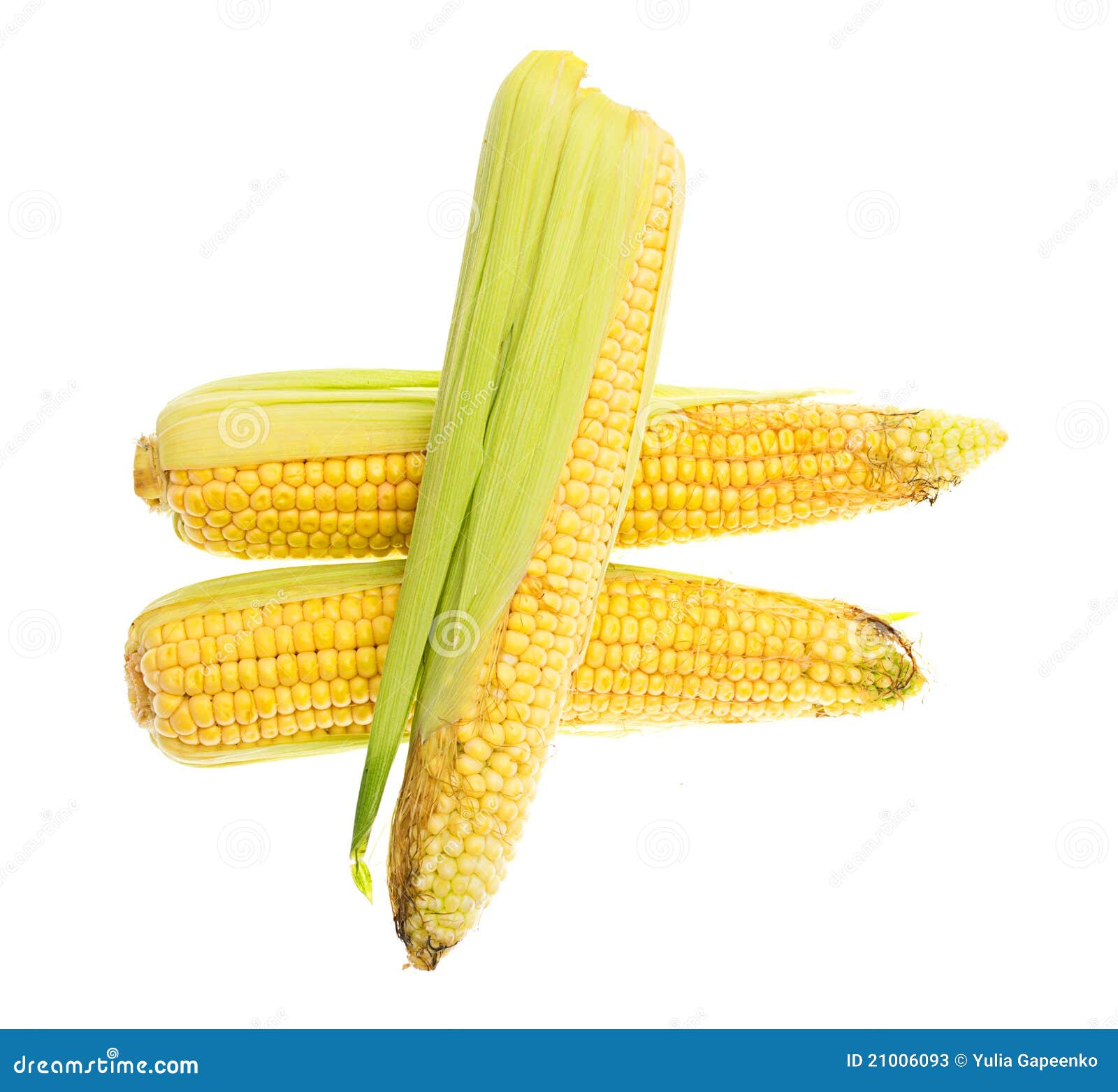 Three Yellow CThree Yellow Corn Cob Isolated Stock Image Image of
