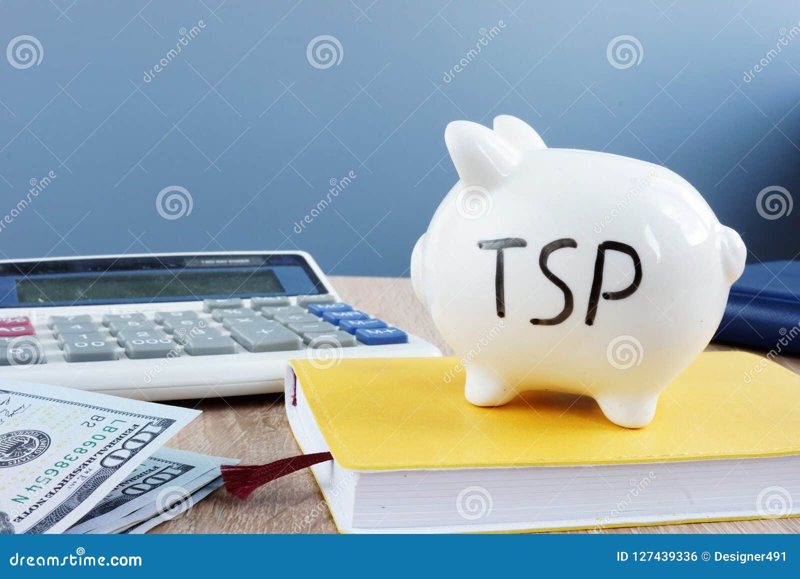 thrift savings plan tsp written on a piggy bank.