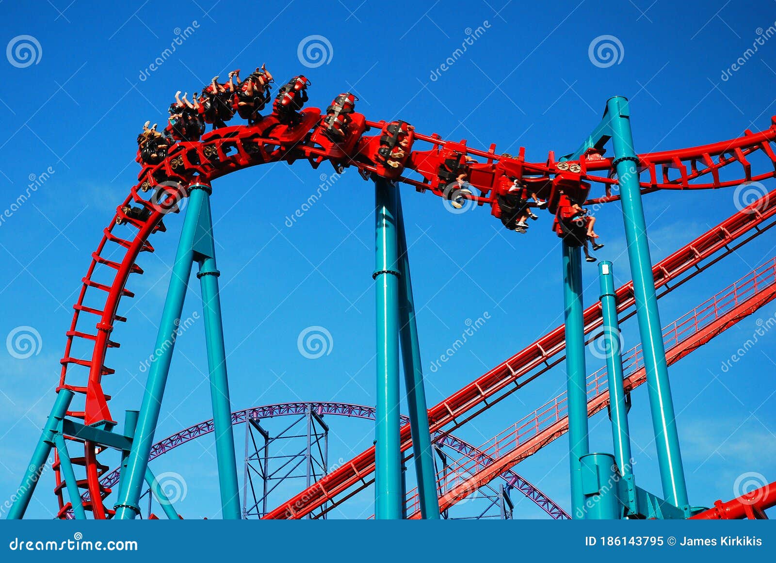 The Wild Roller Coaster Ride!