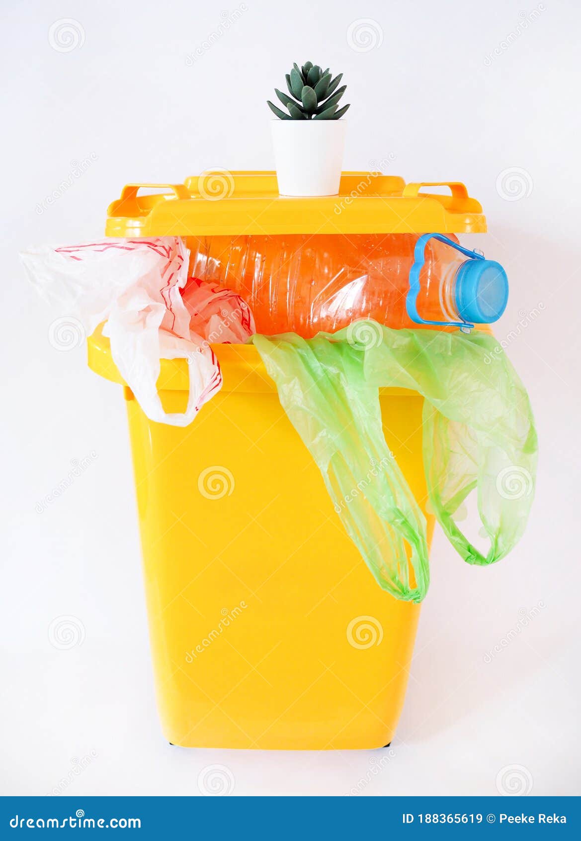 Throw the Plastic Waste into the Trash Recycling Bins Stock Image