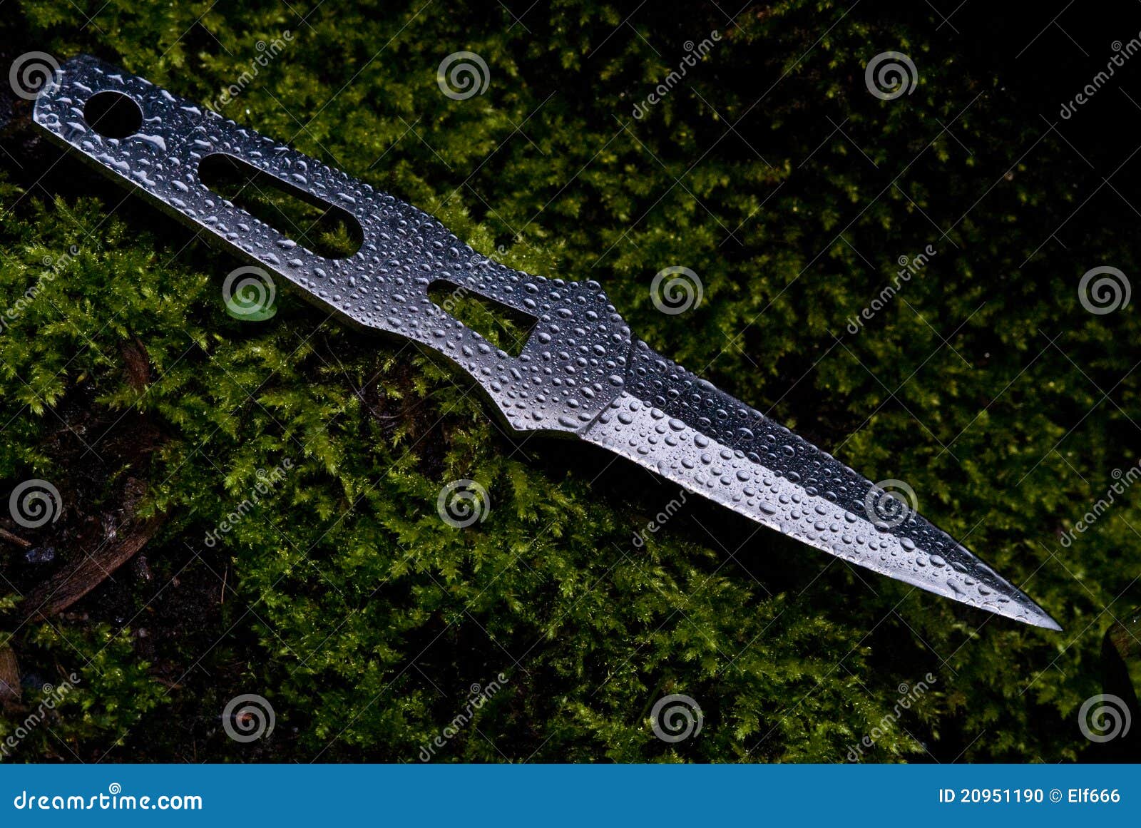 the water knife review the water knife review