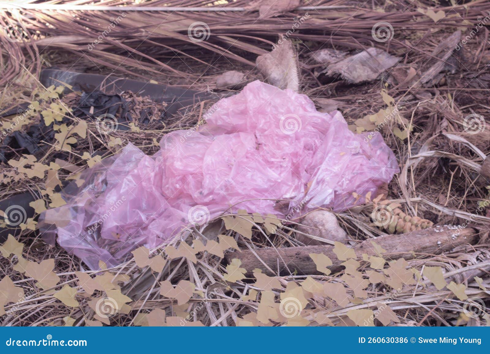 The Thrown Away Plastic Wrapper Bag on the Ground. Stock Photo Image