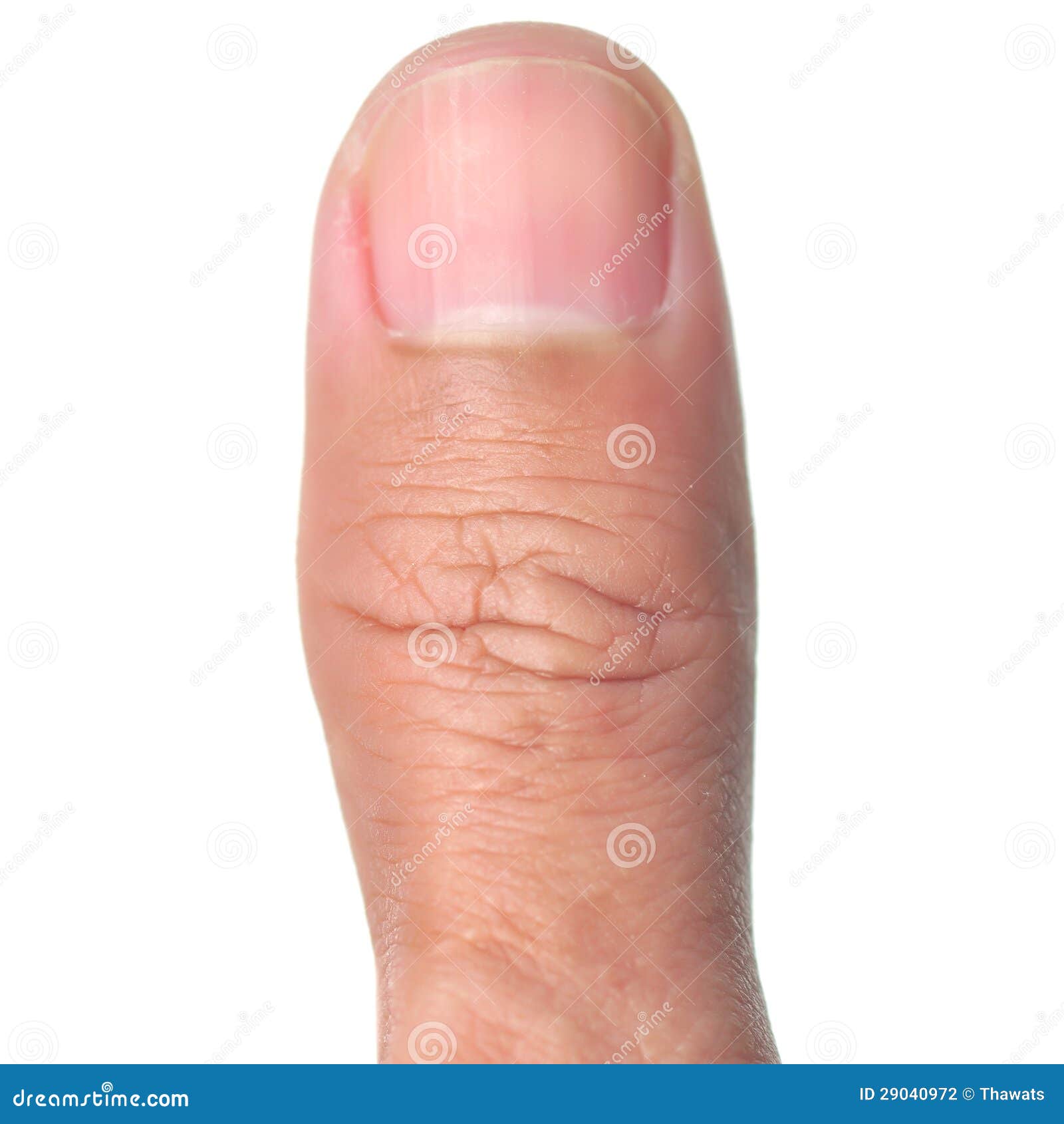 Thumb finger stock photo. Image of shot, anatomy, people 29040972