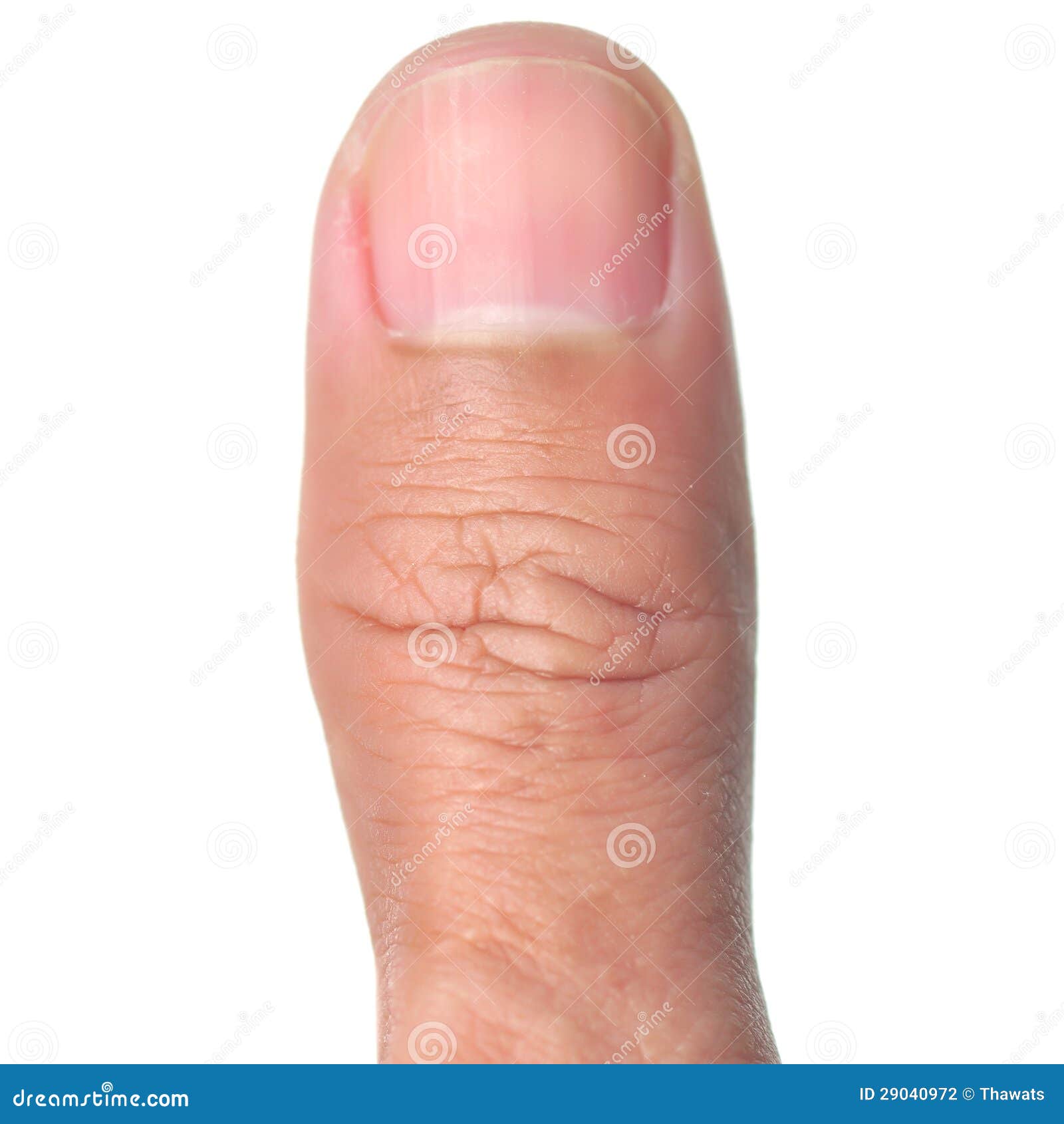 190,552 Thumb Finger Stock Photos - Free & Royalty-Free Stock Photos from  Dreamstime