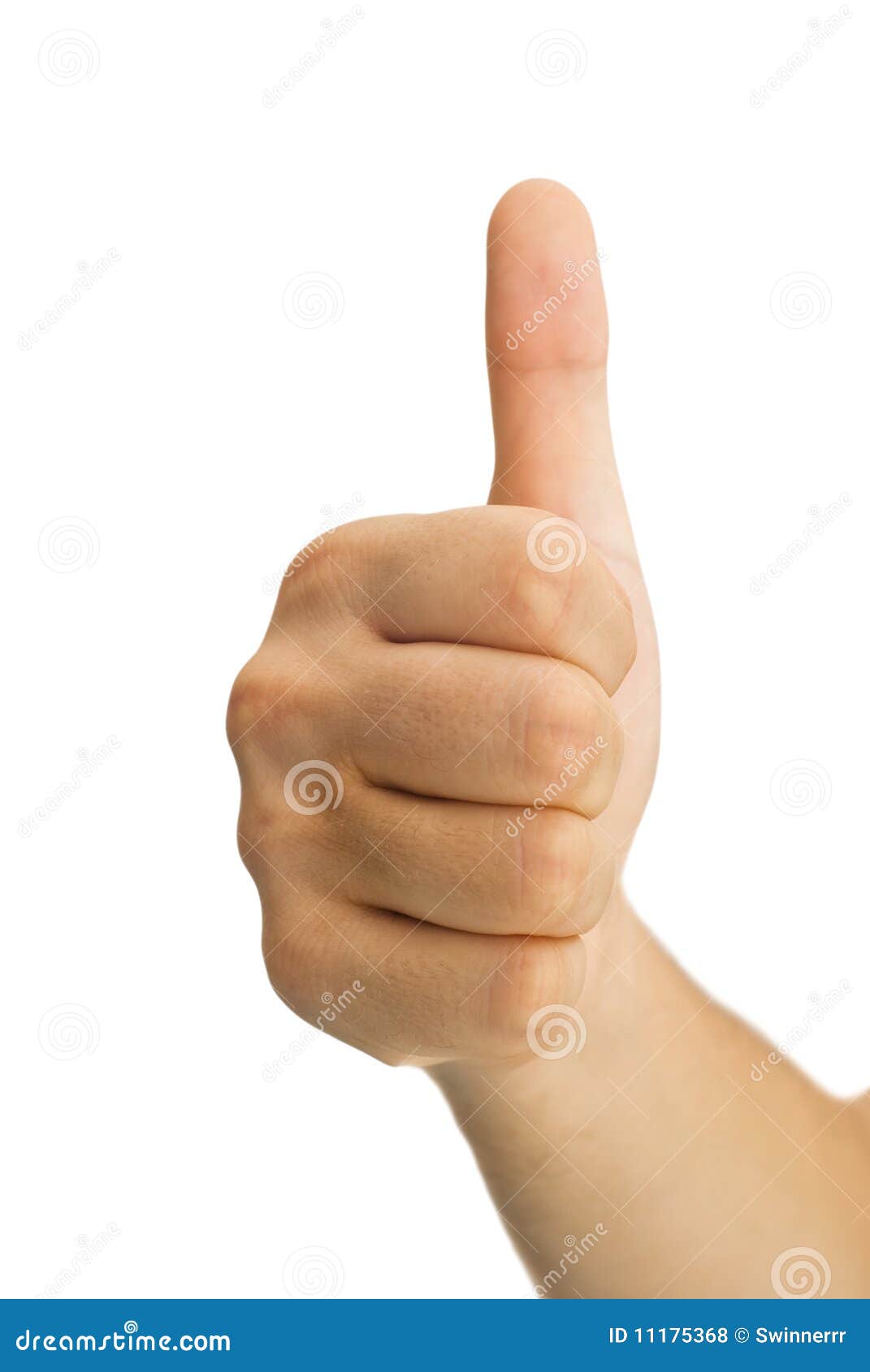 Thumbs Up Stock Photo Image Of Caucasian Thumb Positivity 11175368