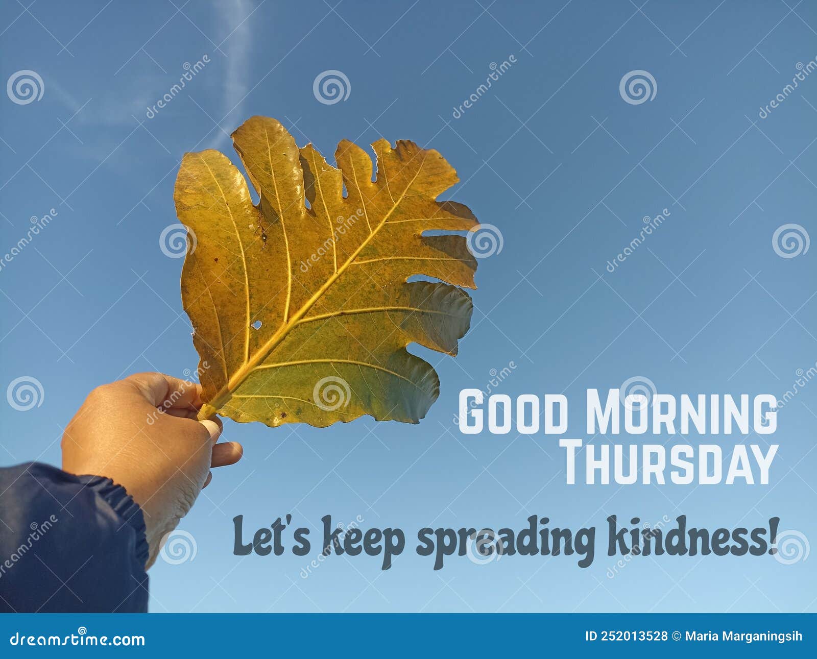 259 Inspirational Good Morning Quotes Stock Photos - Free & Royalty-Free  Stock Photos from Dreamstime