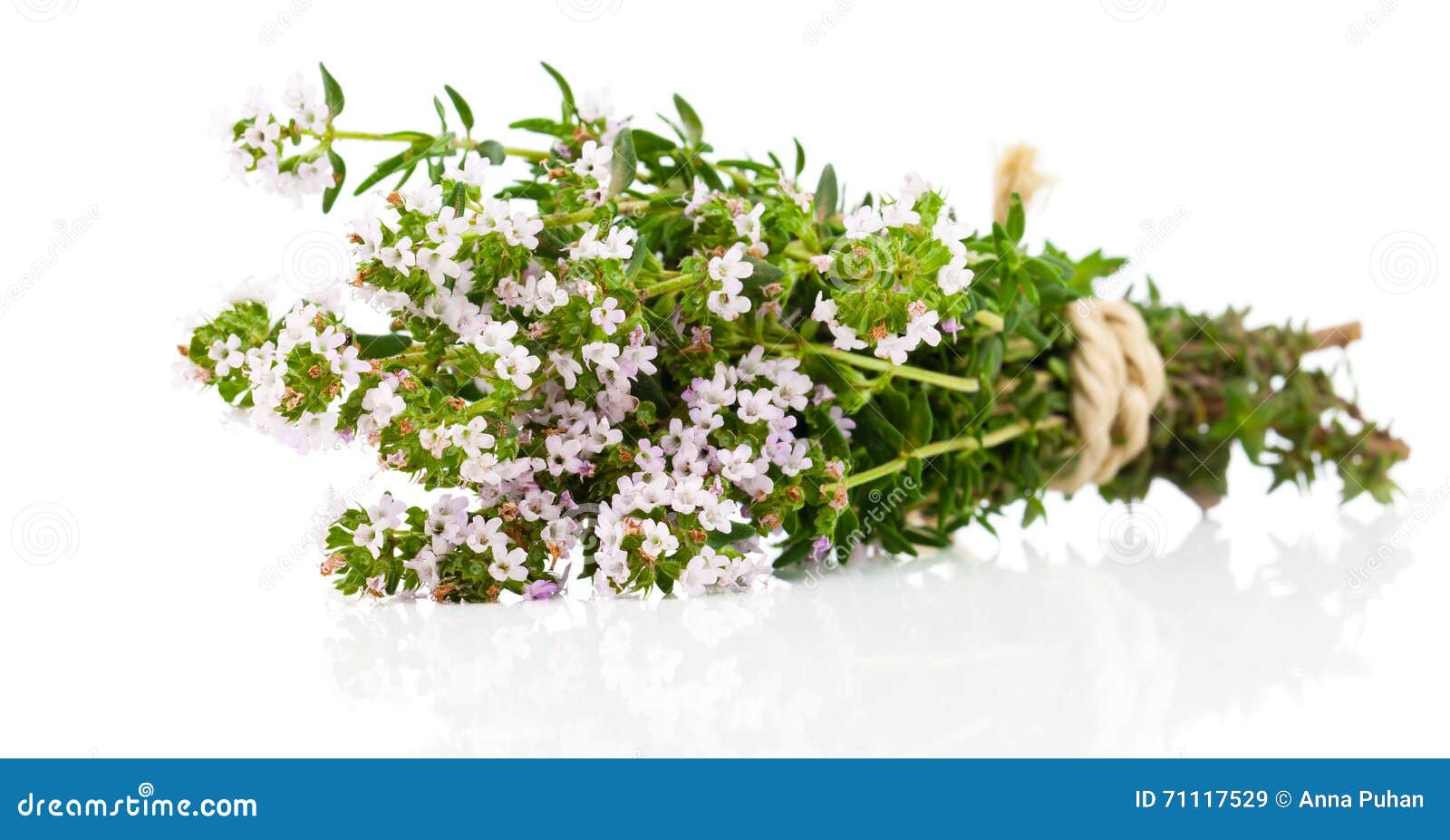 Thyme imagem de stock. Imagem de ingrediente, erva, fresco 71117529