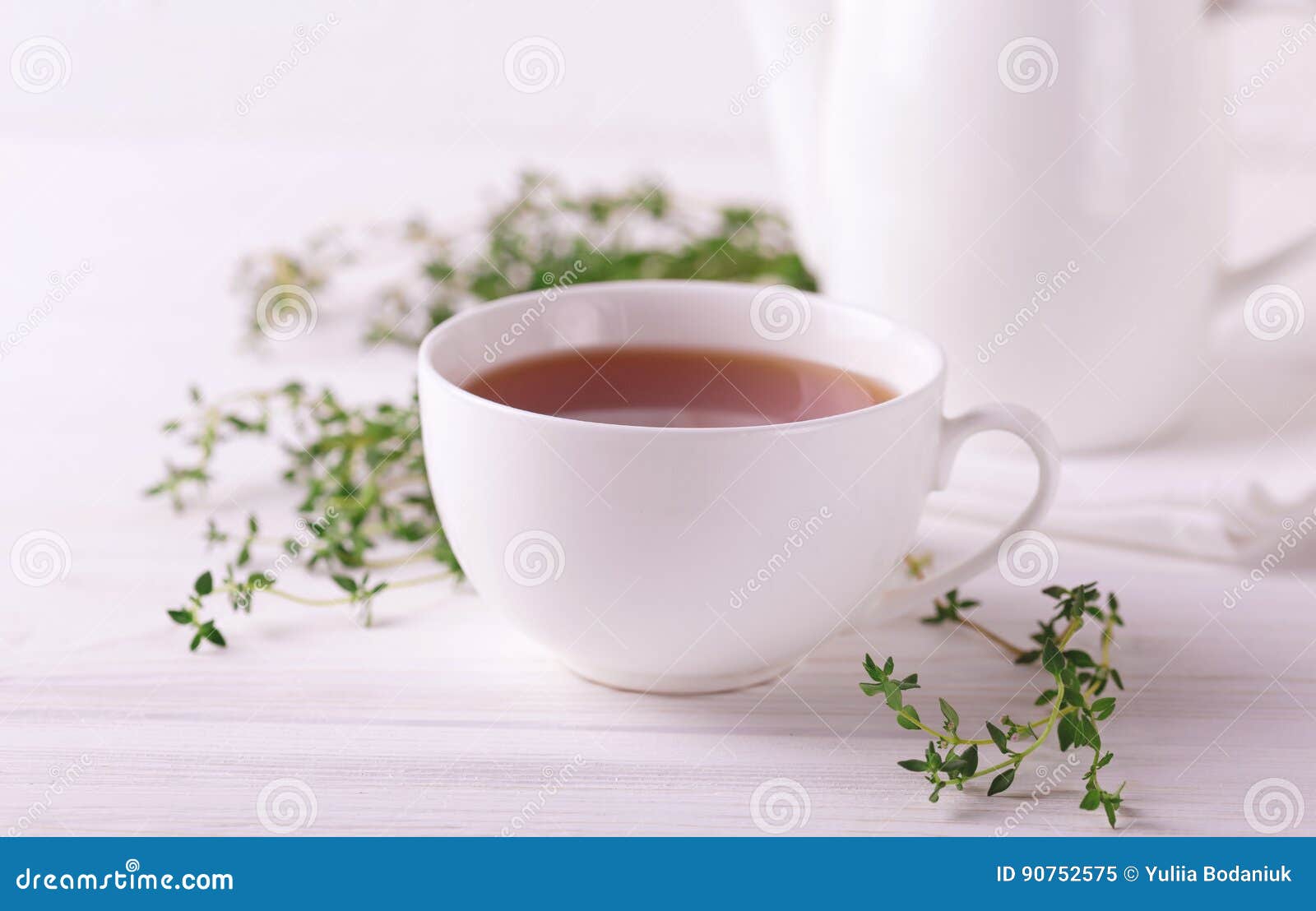 Thyme Herbal Tea. Healthy Drink. Alternative Medicine Stock Image