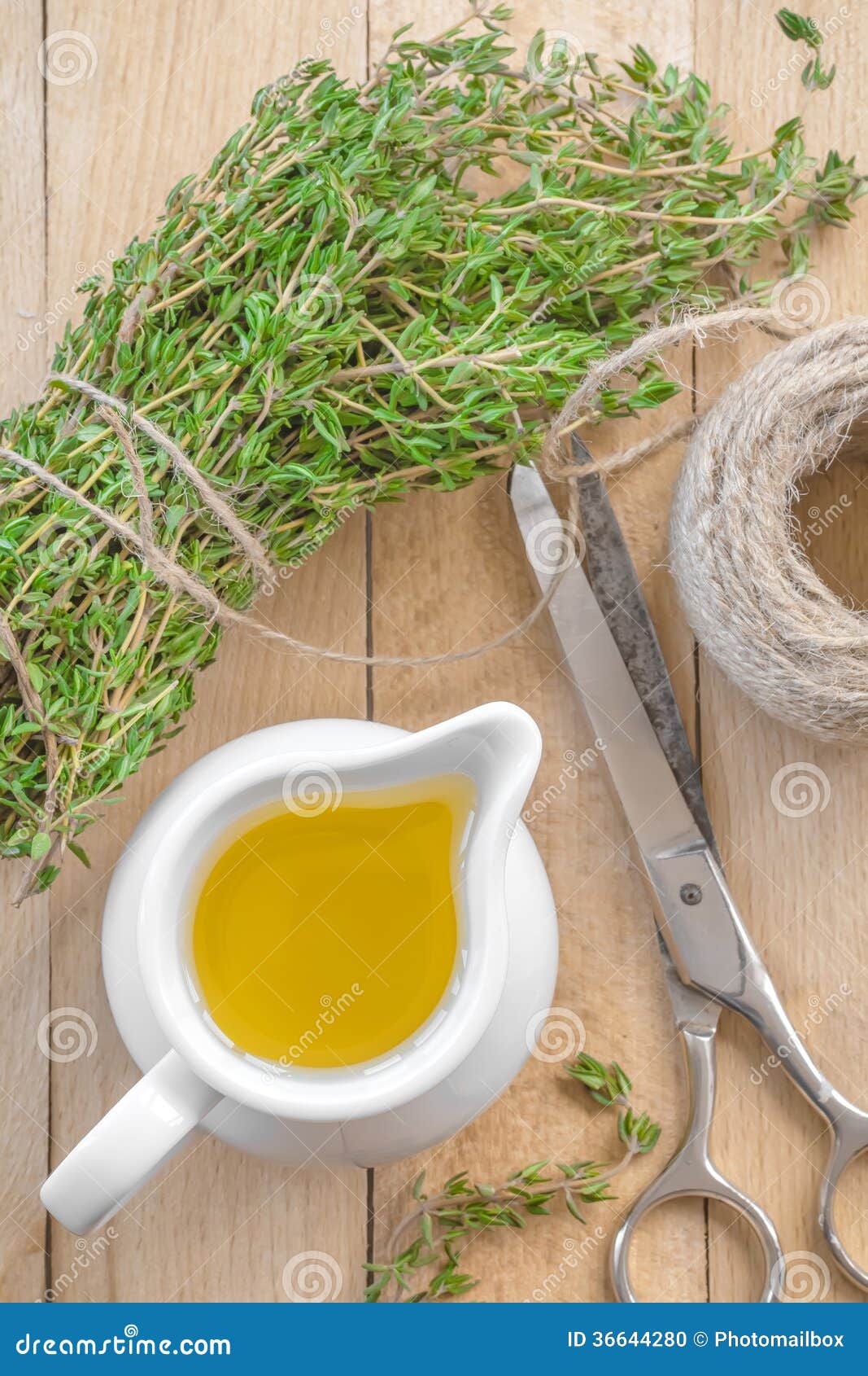 Thyme oil stock photo. Image of food, branch, foliage 36644280